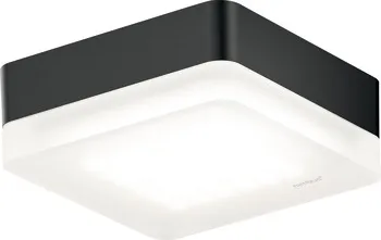 Cubic 36 Connect ON-XD black w. driver