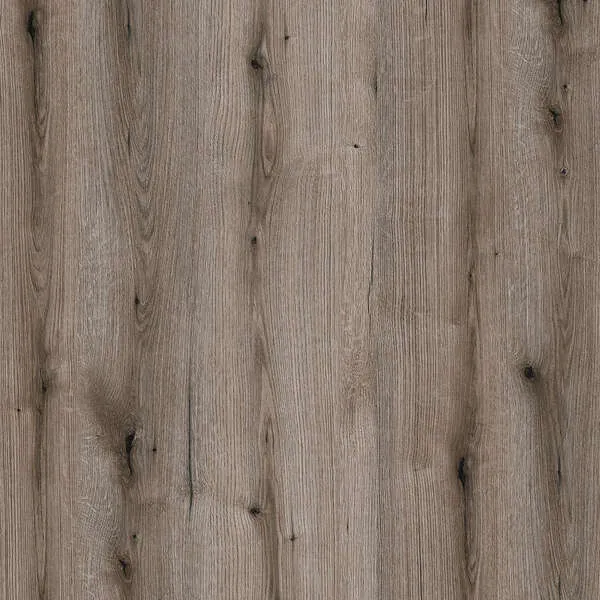 Fossil Evoke Oak