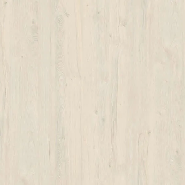 White Coastland Oak