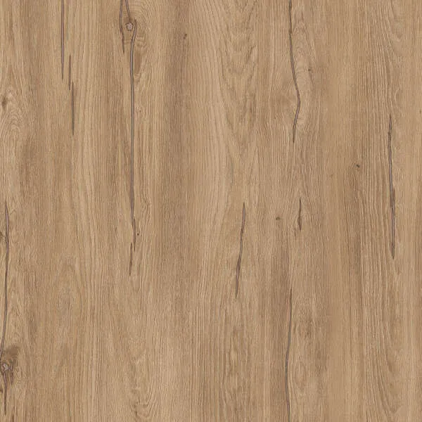 Hazel Silverjack Oak