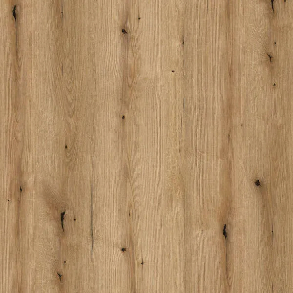Coast Evoke Oak