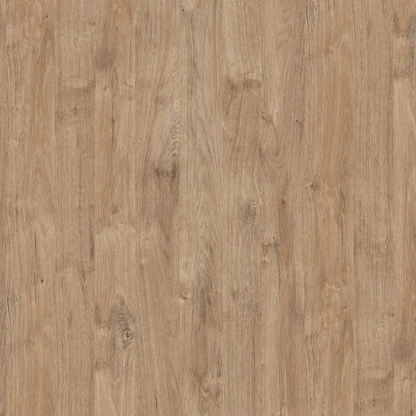 Gold Harbor Oak