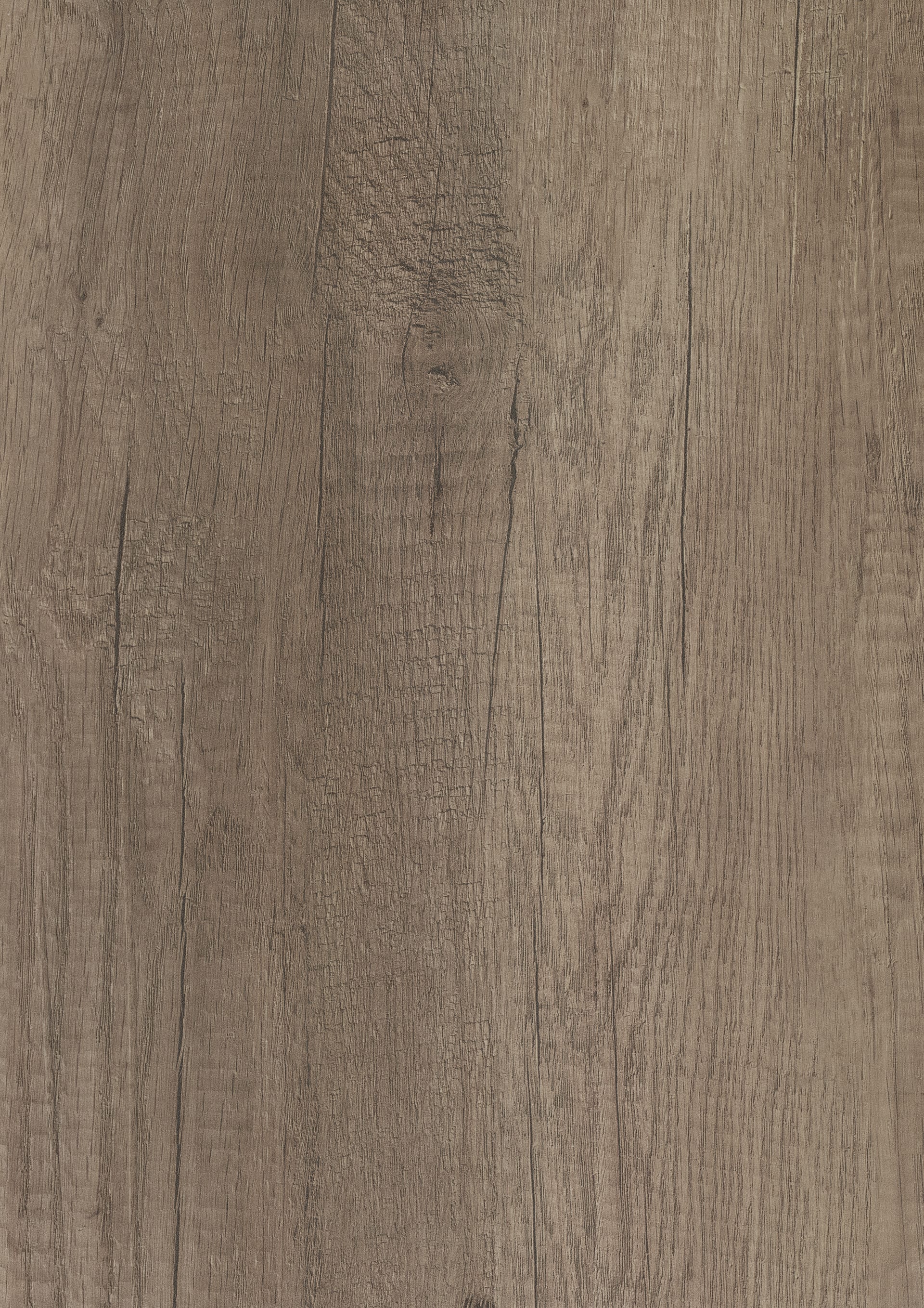 Grey Nebraska Oak