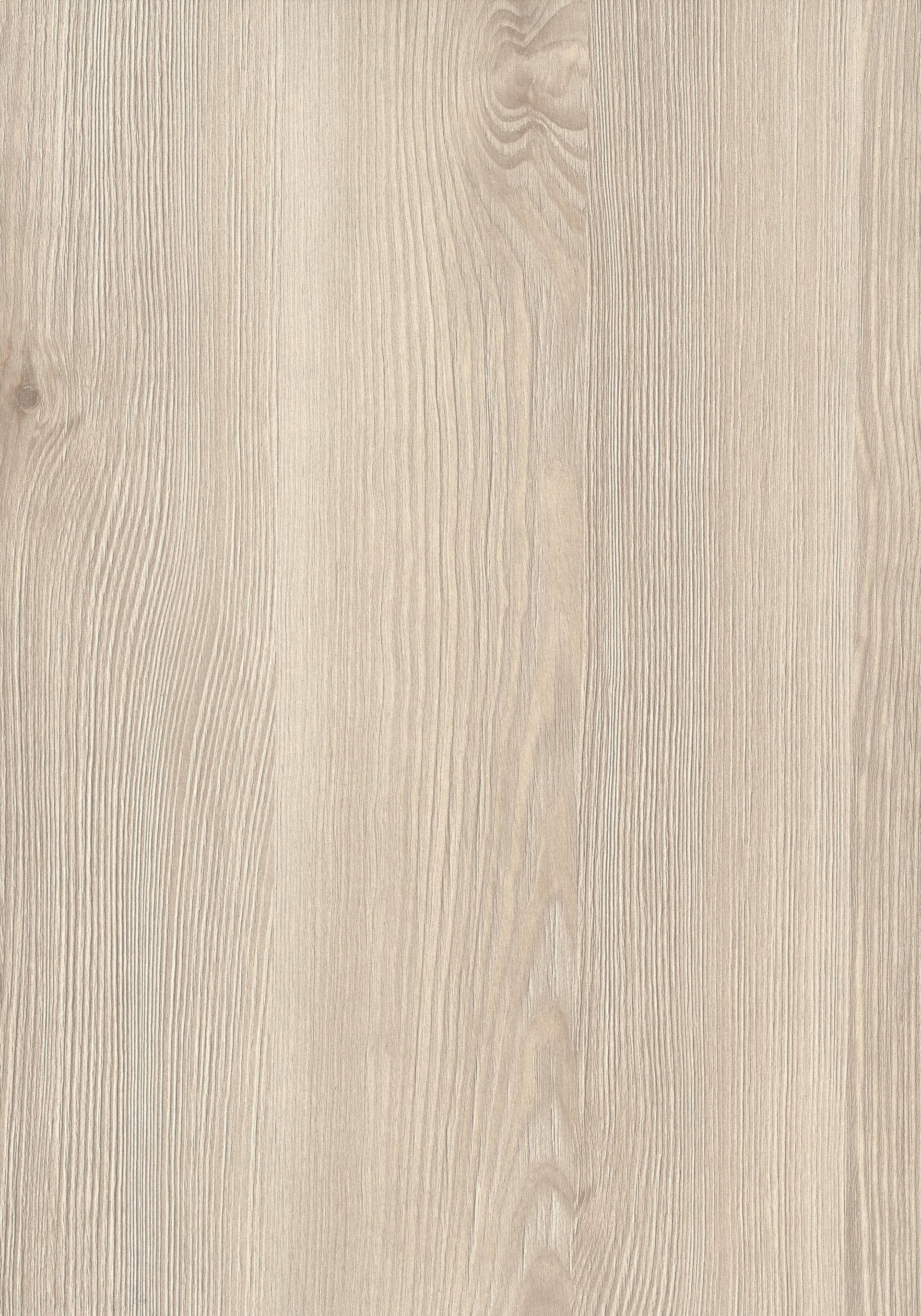 White Aland Pine