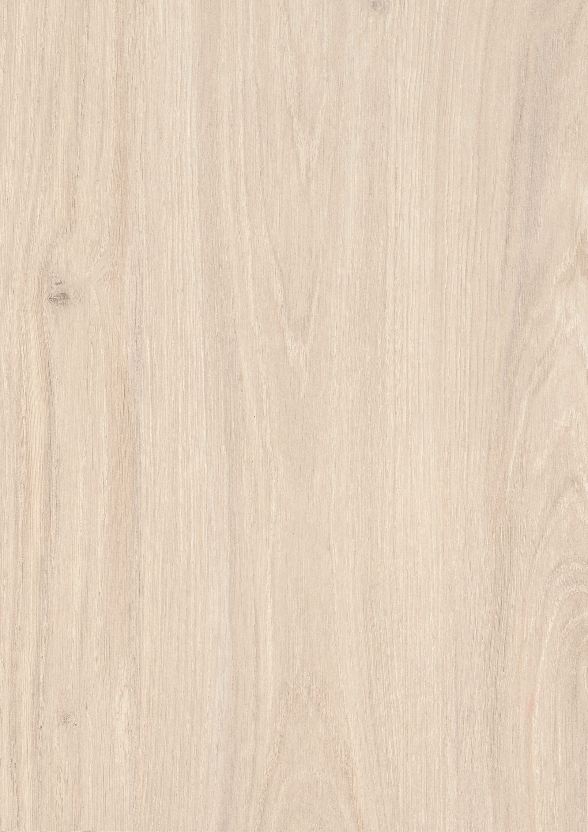 White Casella Oak