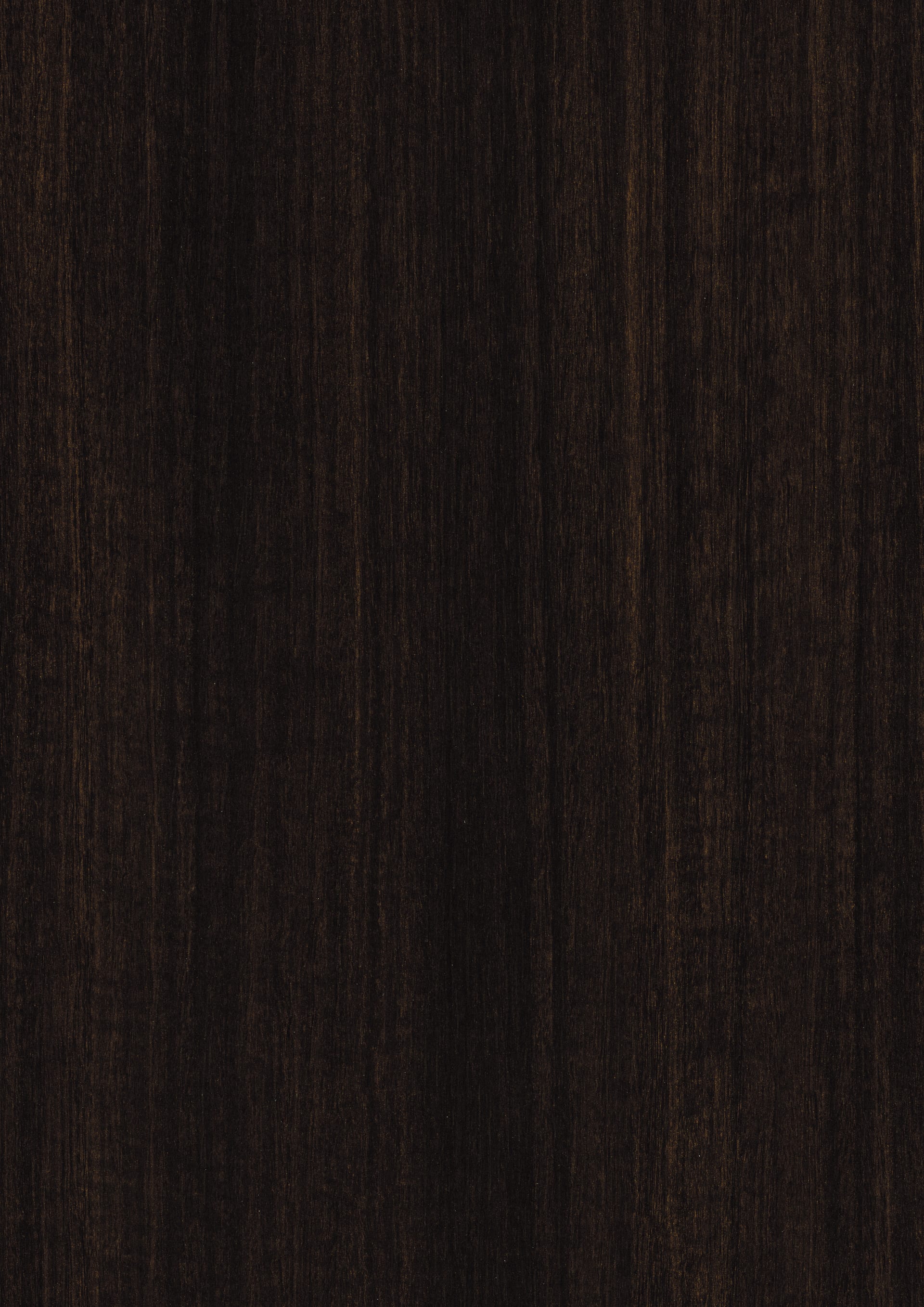 Dark Brown Eucalyptus