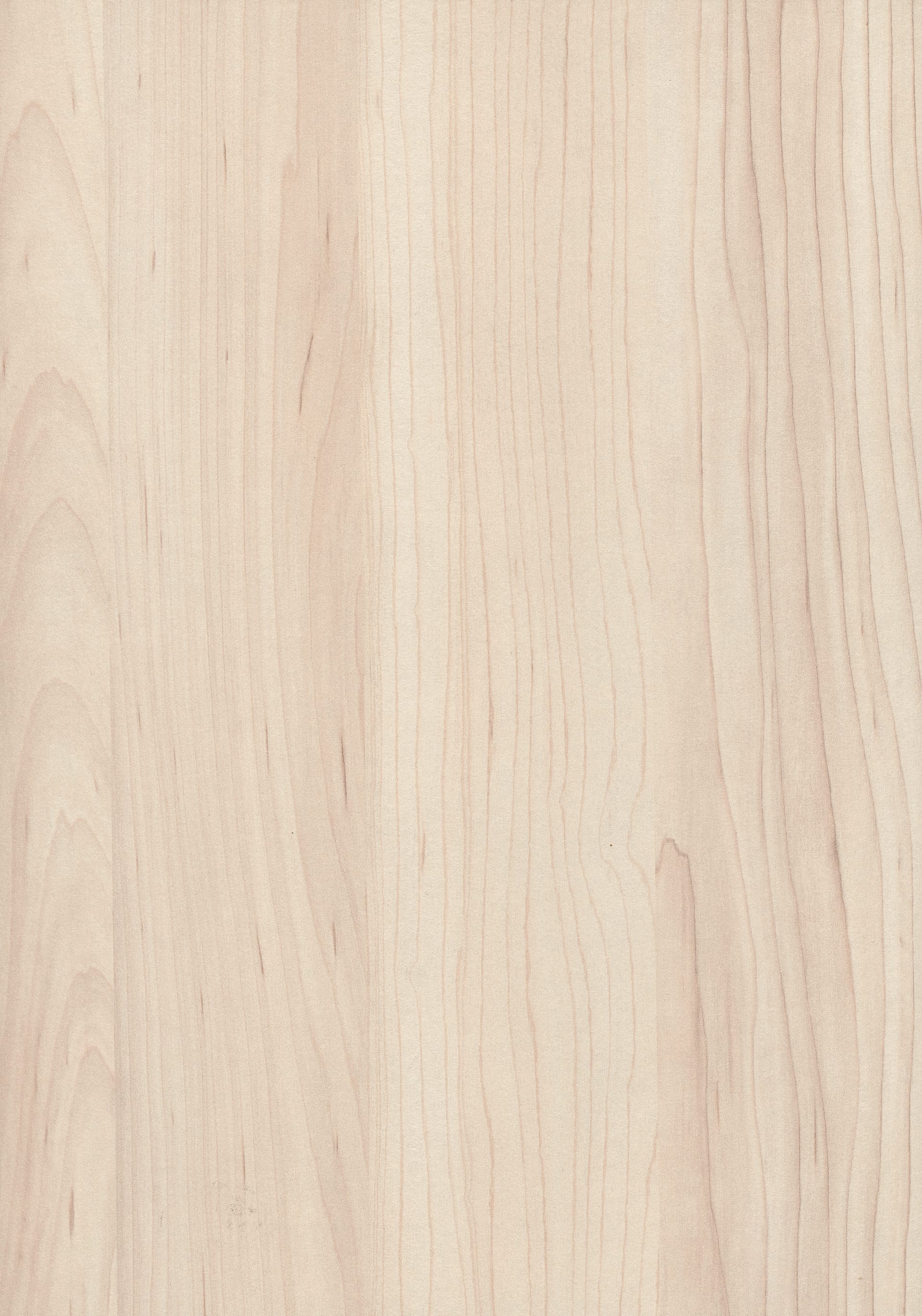 Champagne Hard Maple
