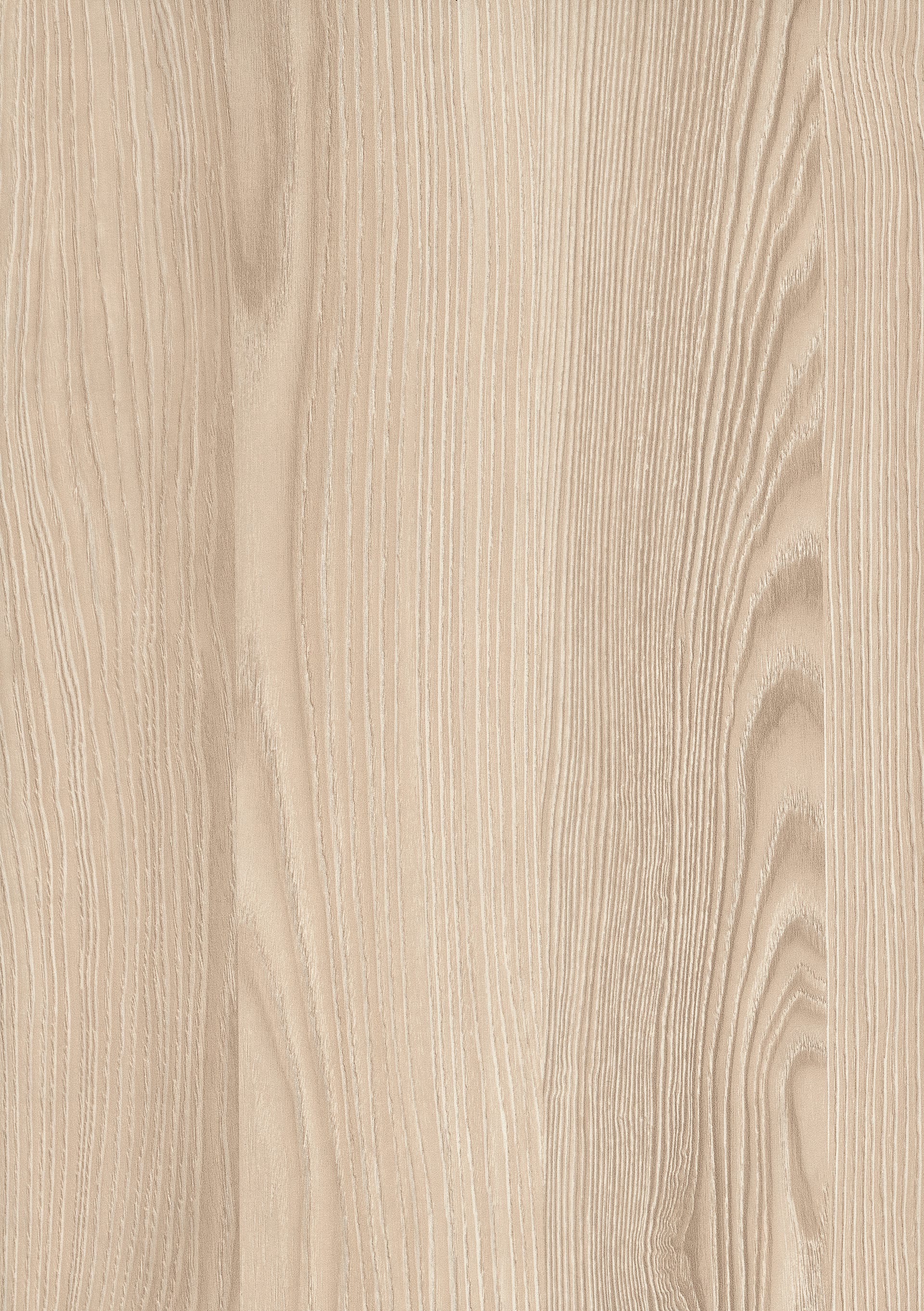 Navarra Ash