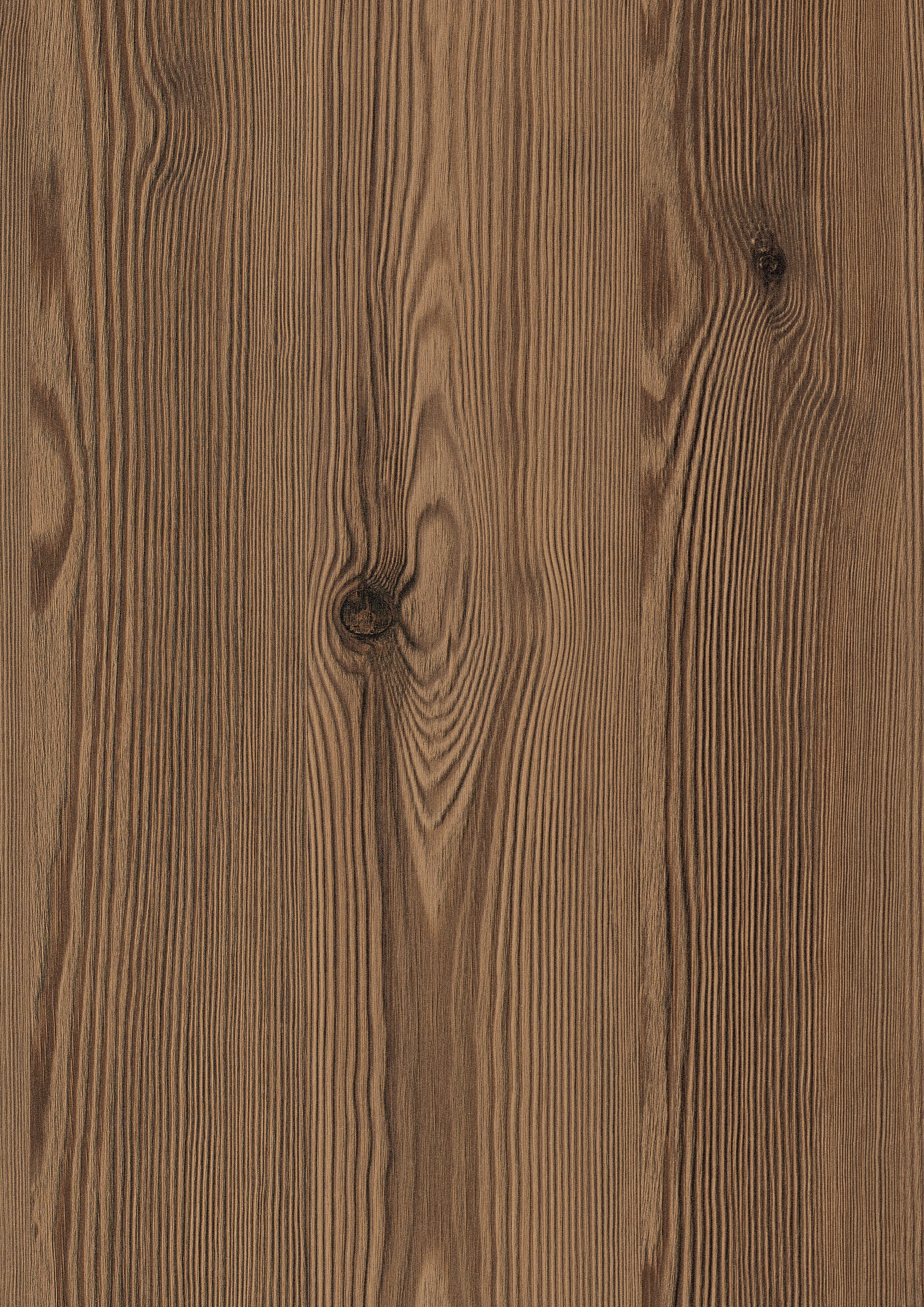 Thermo Brown Mountain Larch