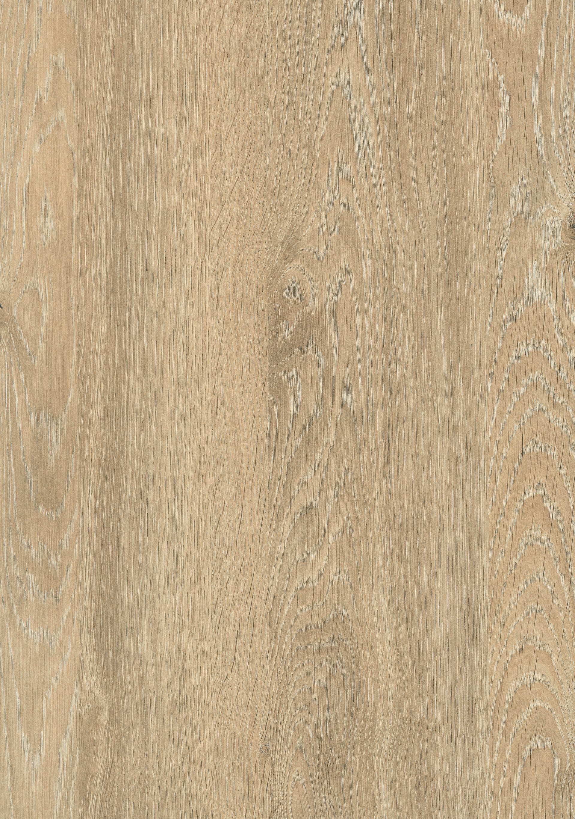 Natural Davos Oak