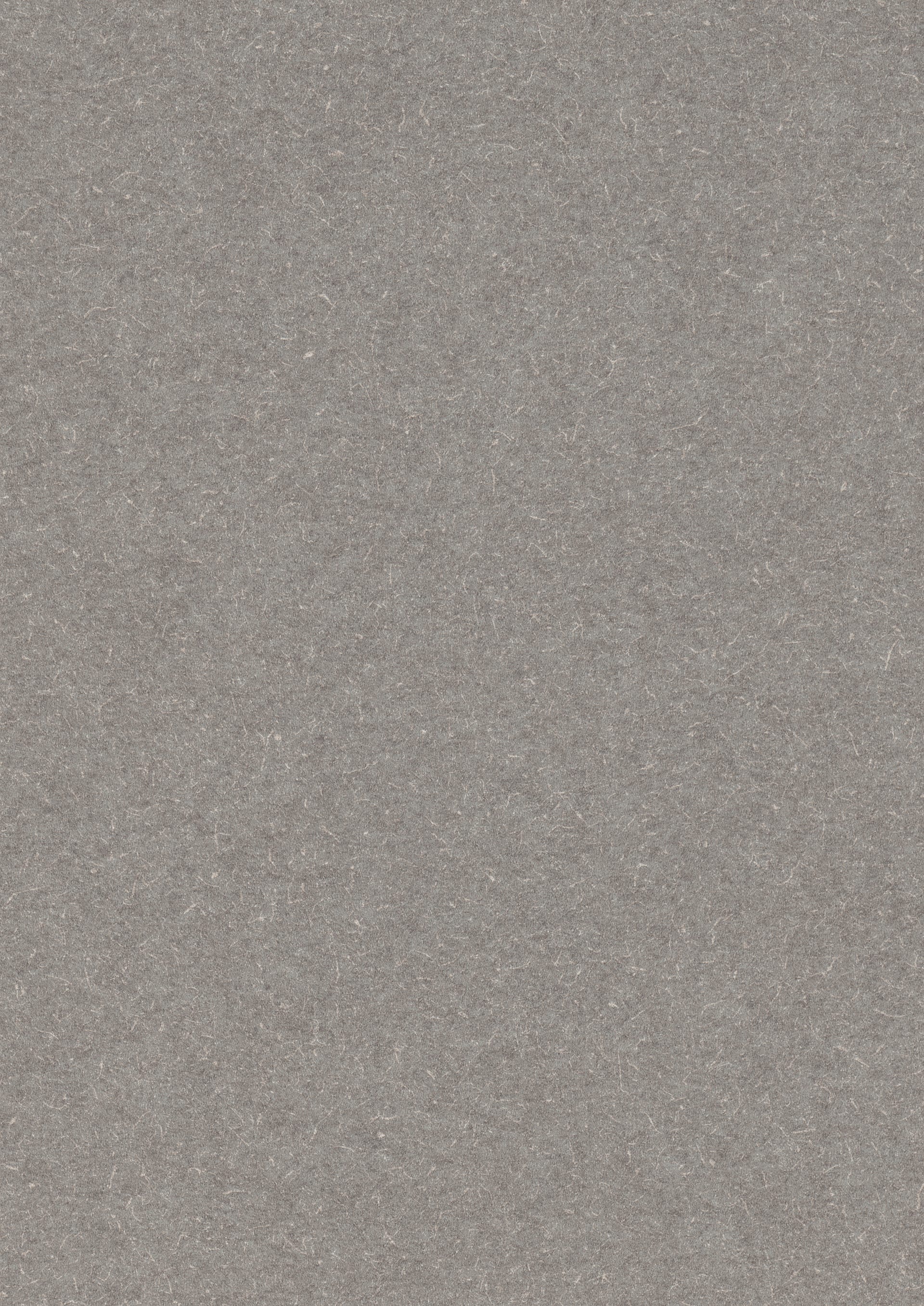 Grey Canvas