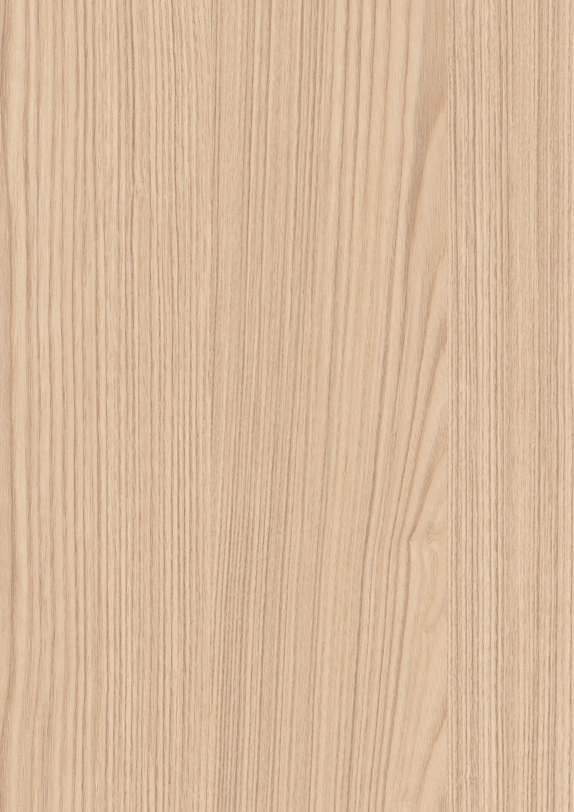 Light Natural Lugano Ash
