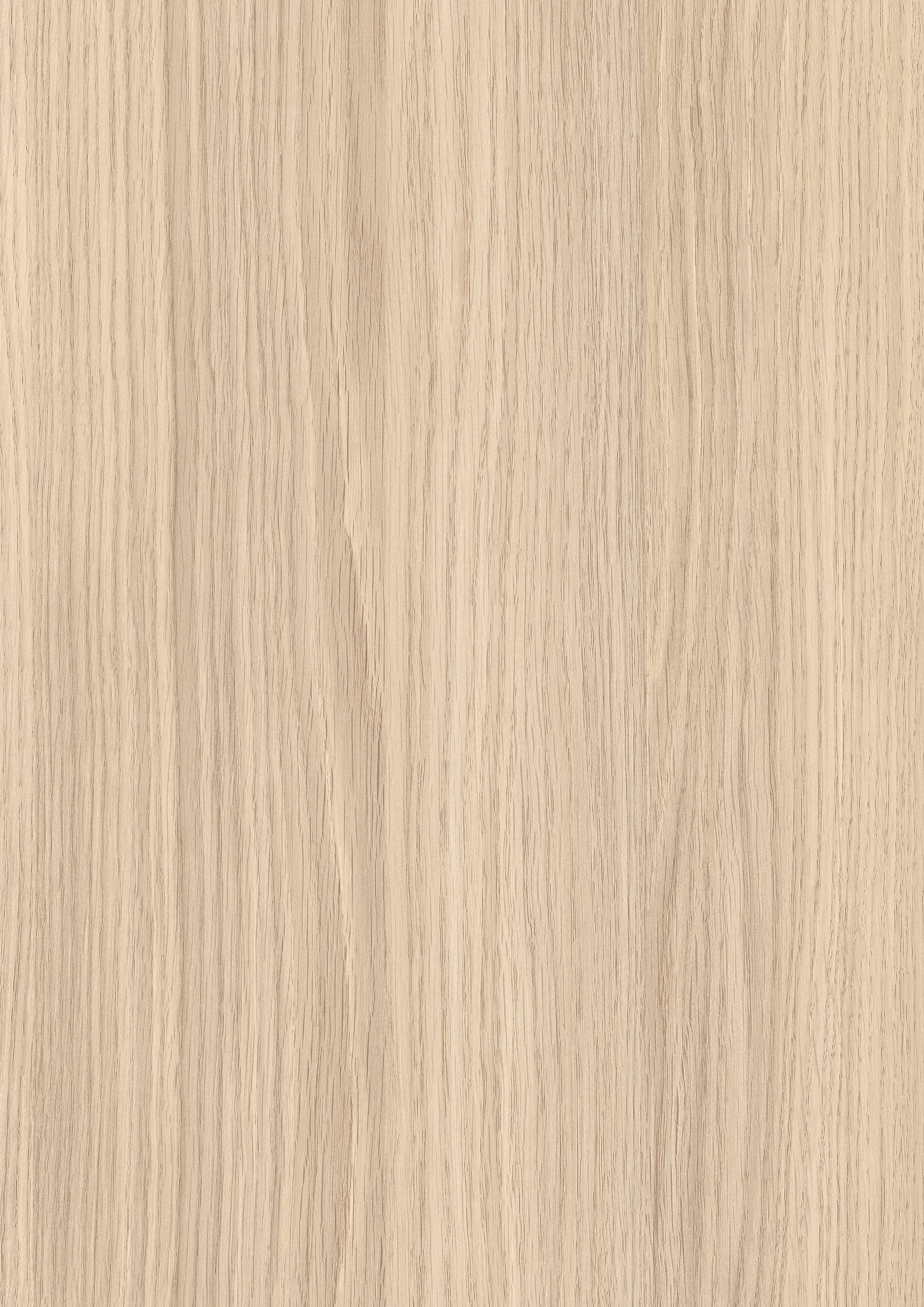 Light Vicenza Oak
