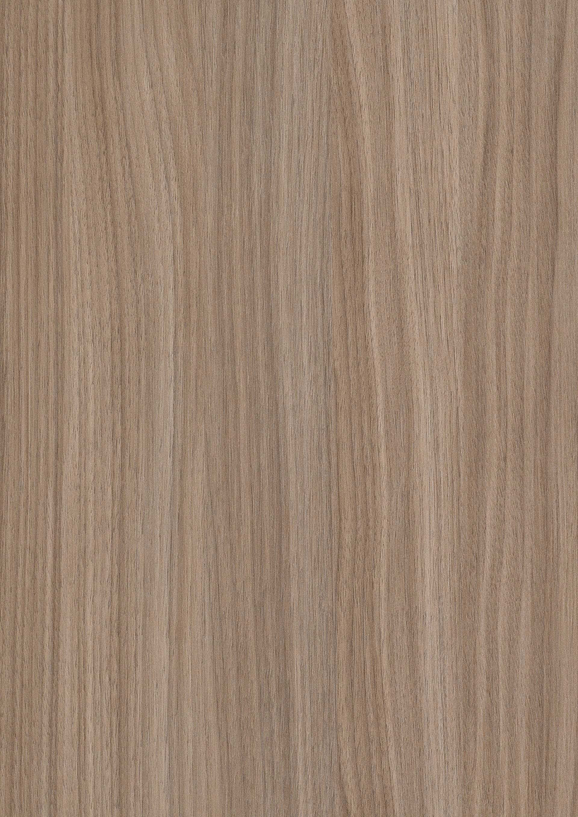 Natural Dimaro Walnut