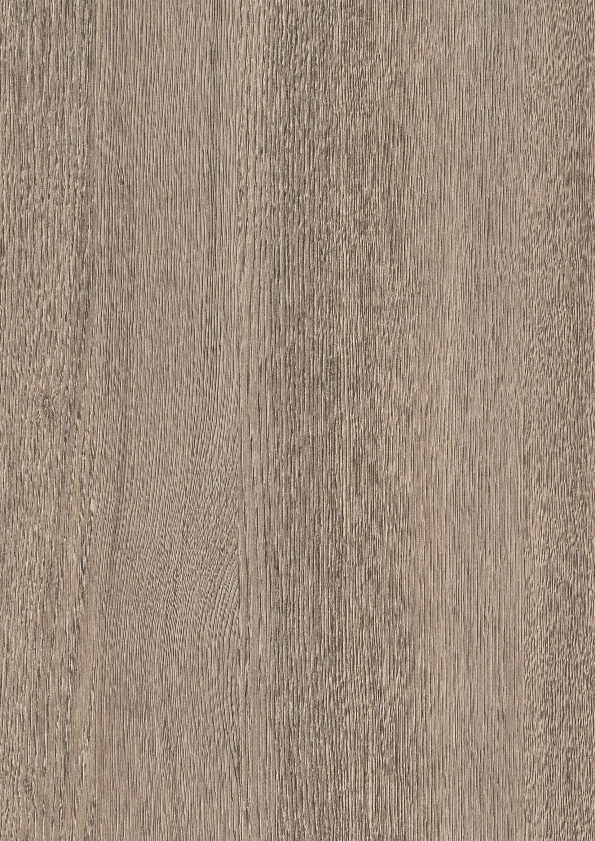 Grey Sacramento Oak