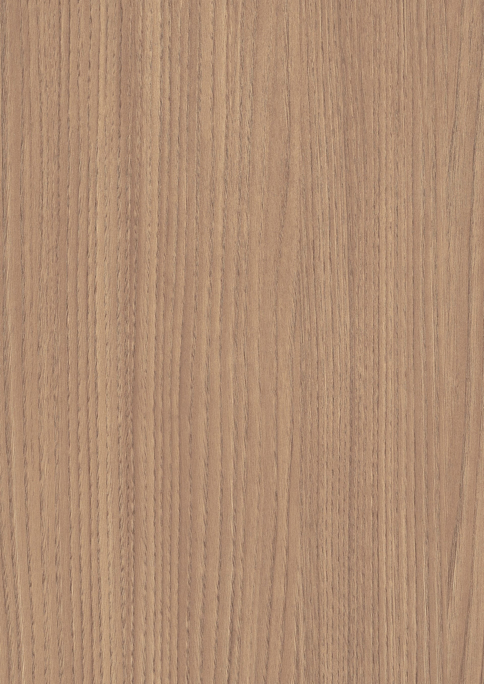 Brighton Chestnut