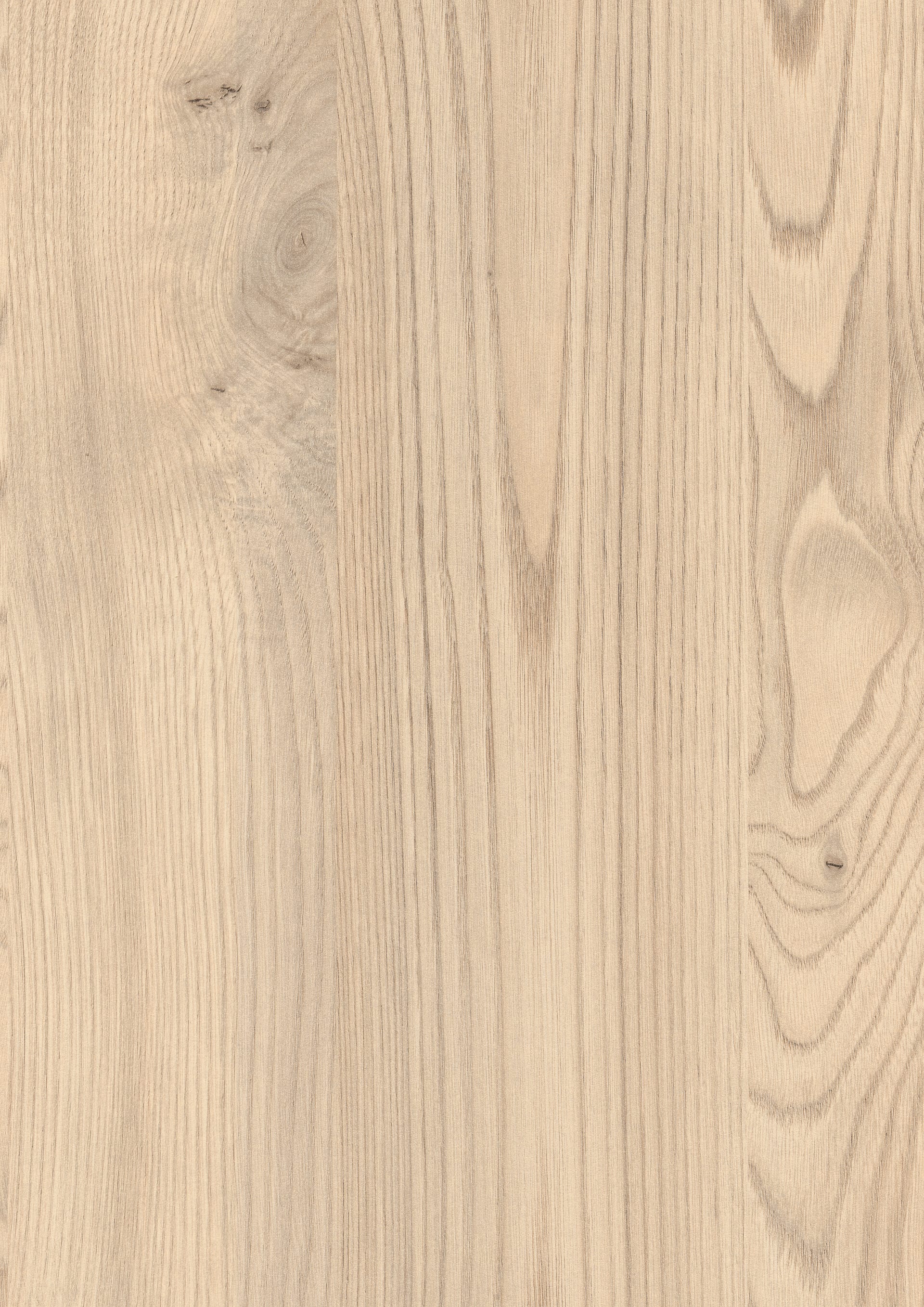 Sand Kentucky Chestnut