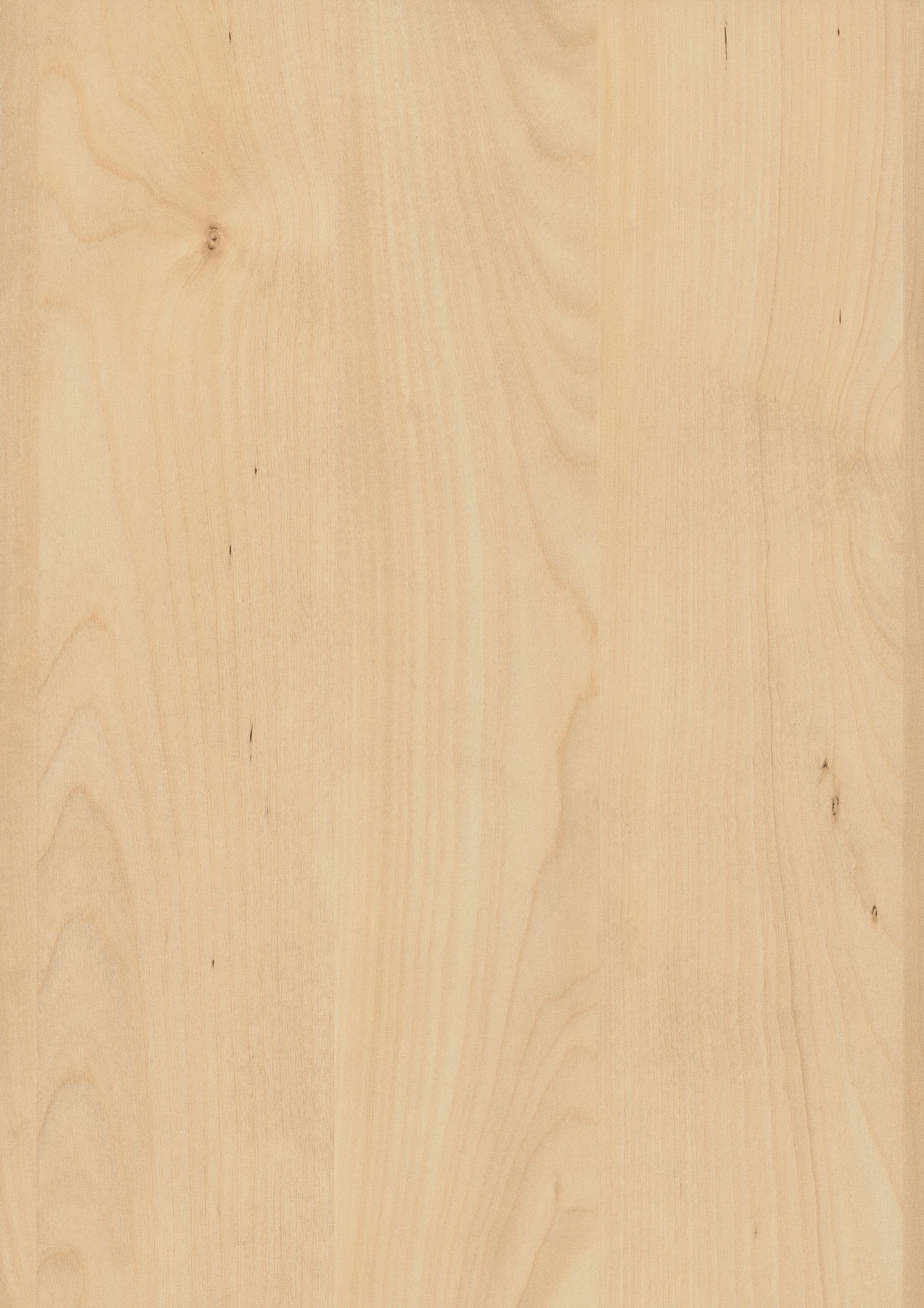 Natural Mandal Maple