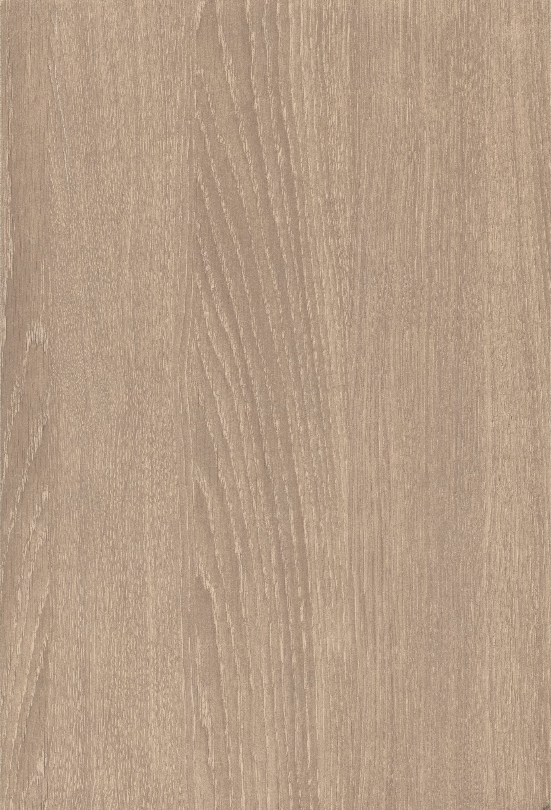 Sand Orleans Oak
