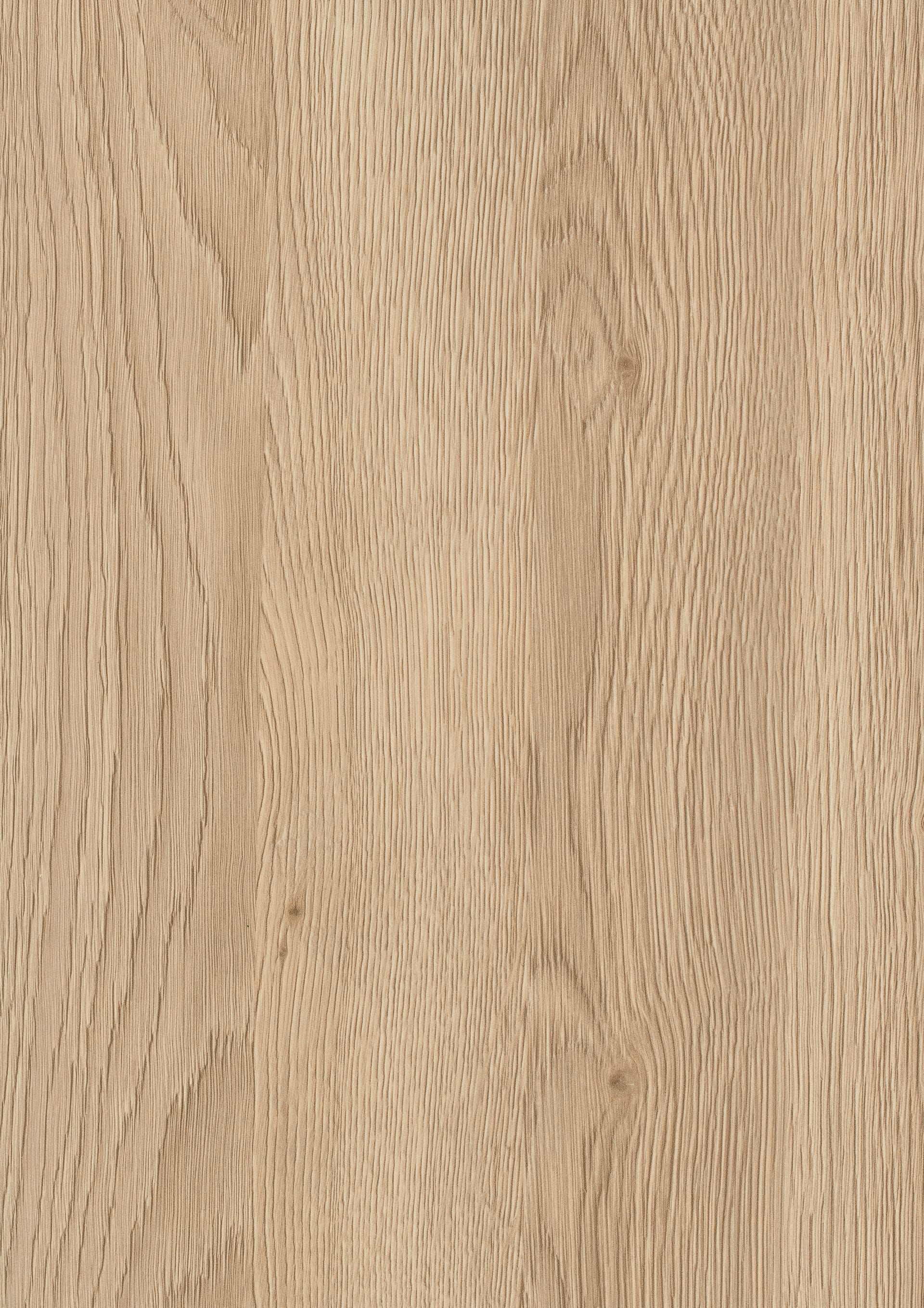 Sand Gladstone Oak