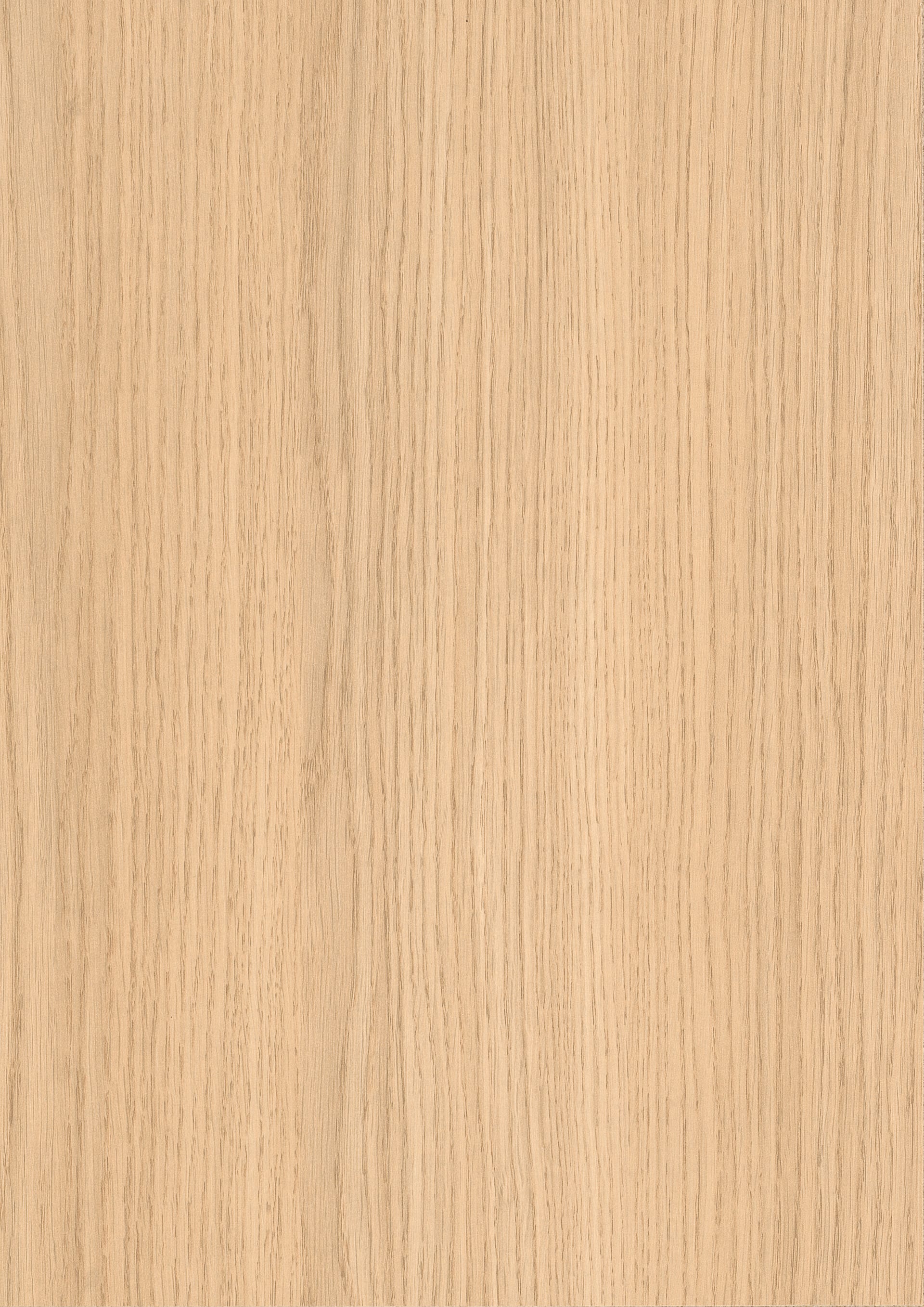 Bleached Vicenza Oak