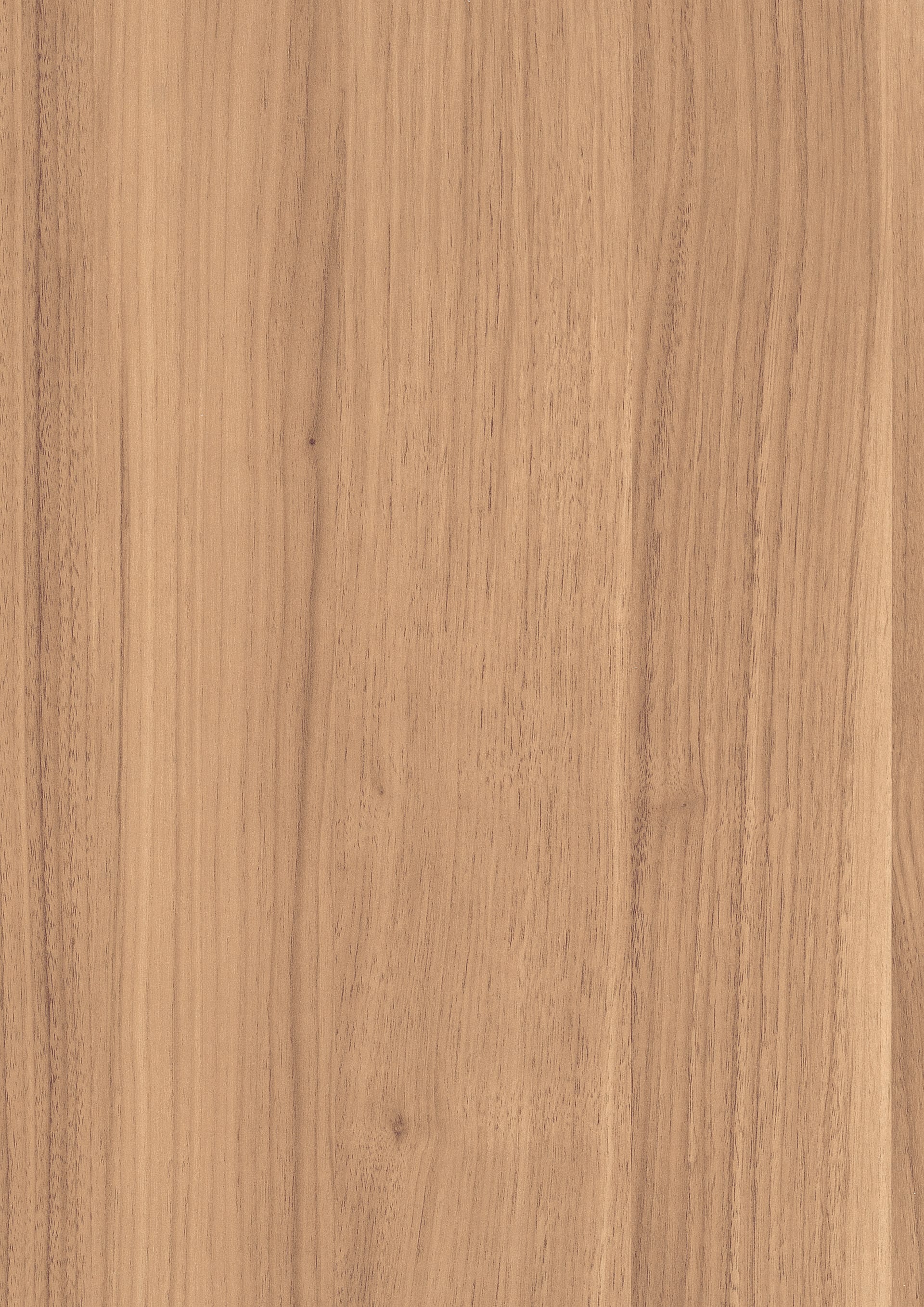 Parona Walnut