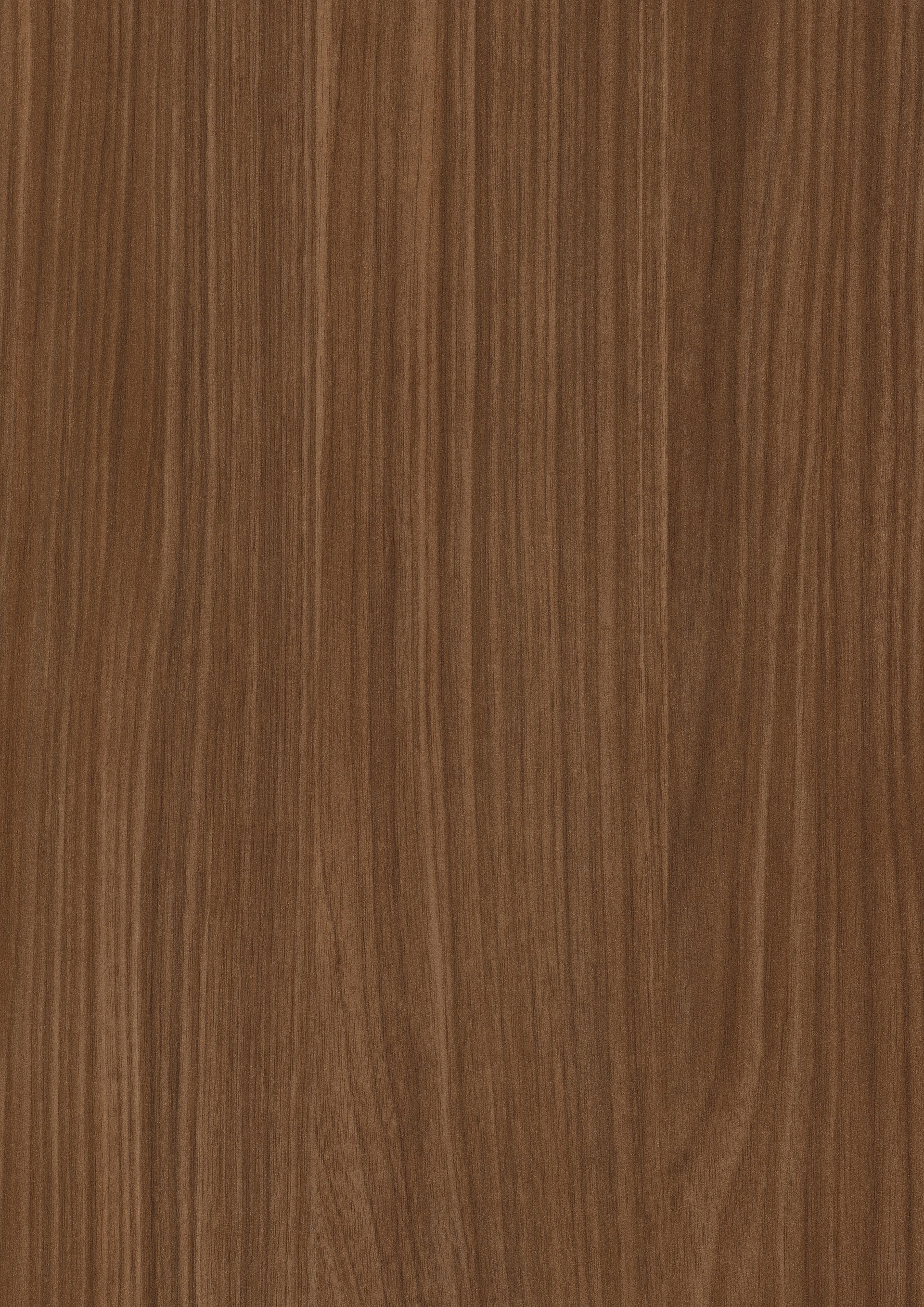 Lincoln Walnut