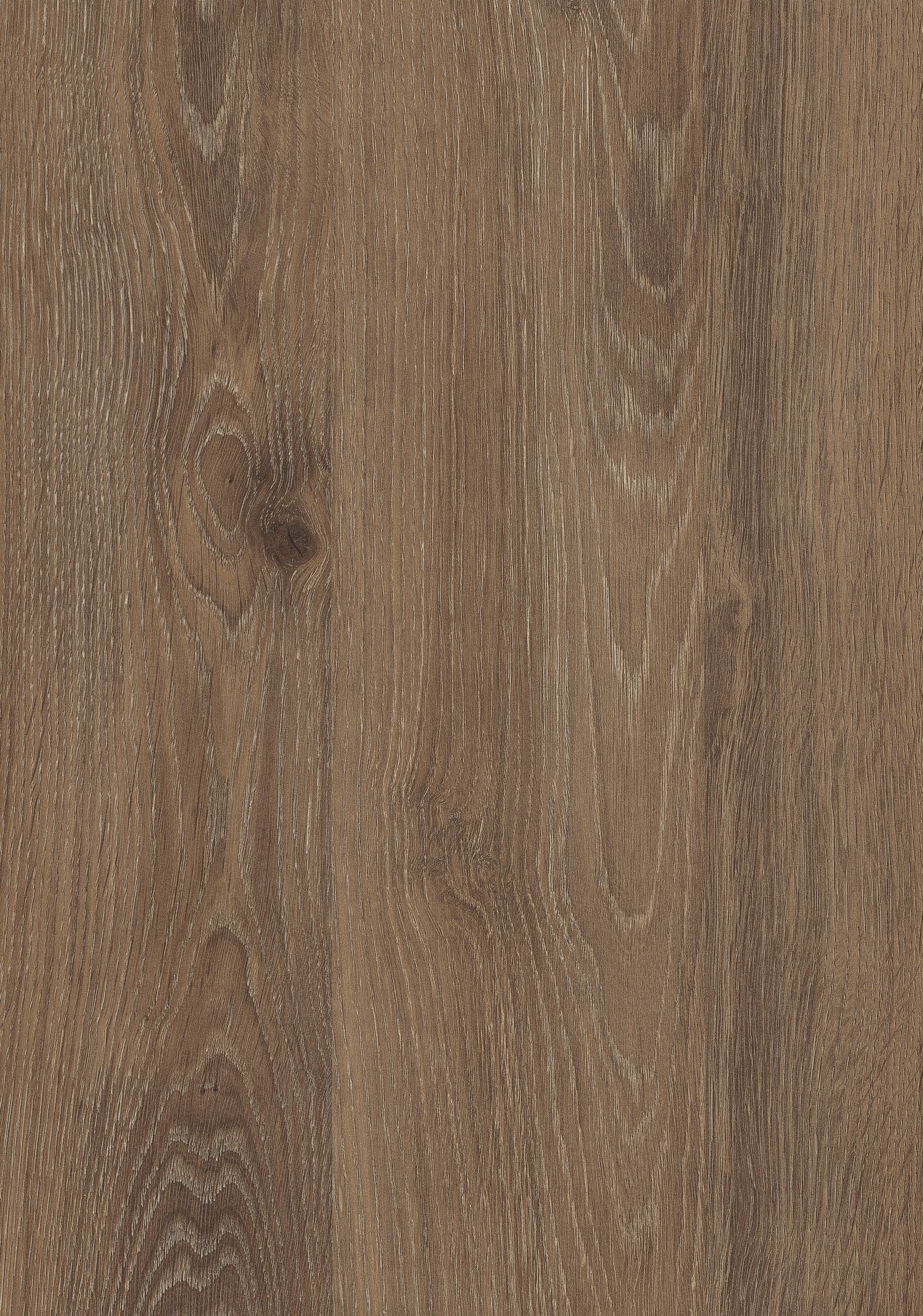 Truffle Brown Davos Oak