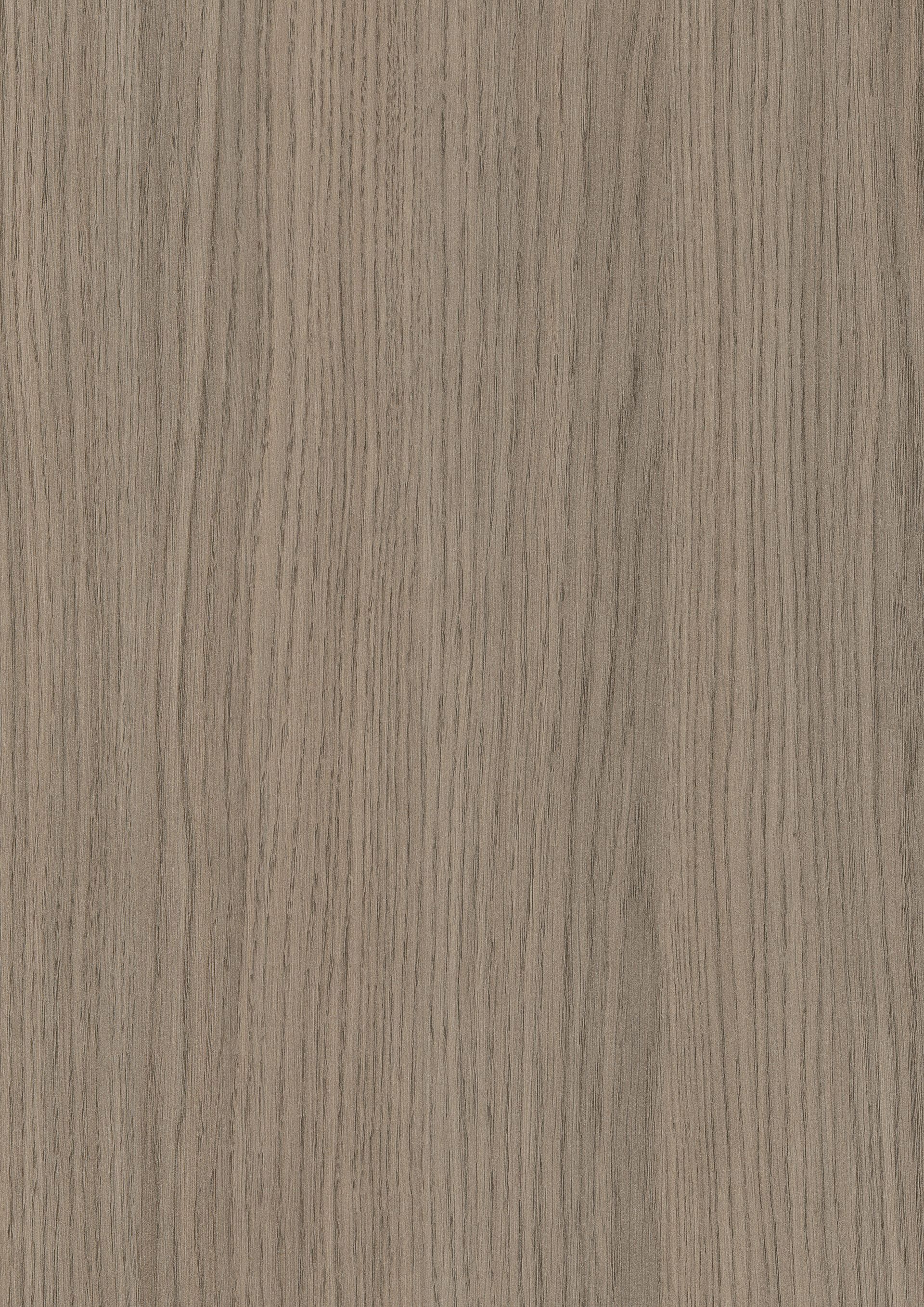 Grey Vicenza Oak
