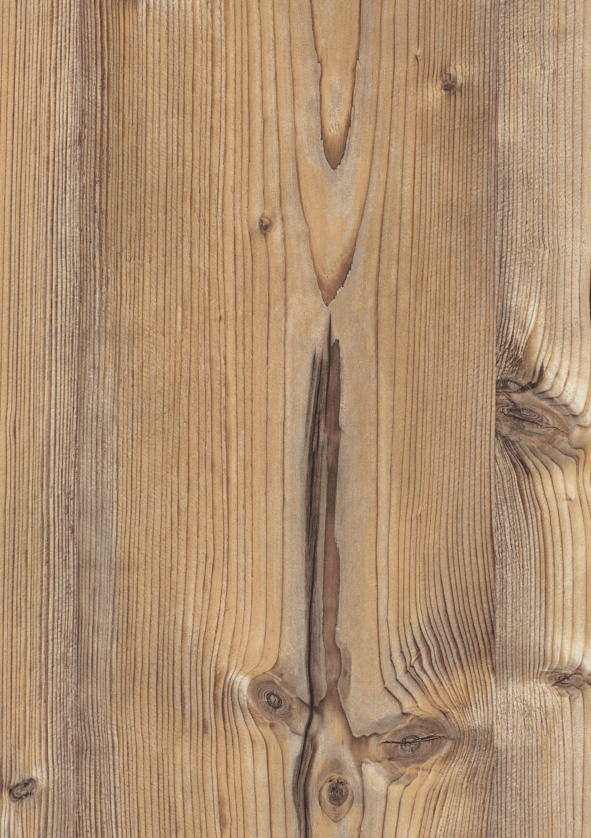 Bramberg Pine