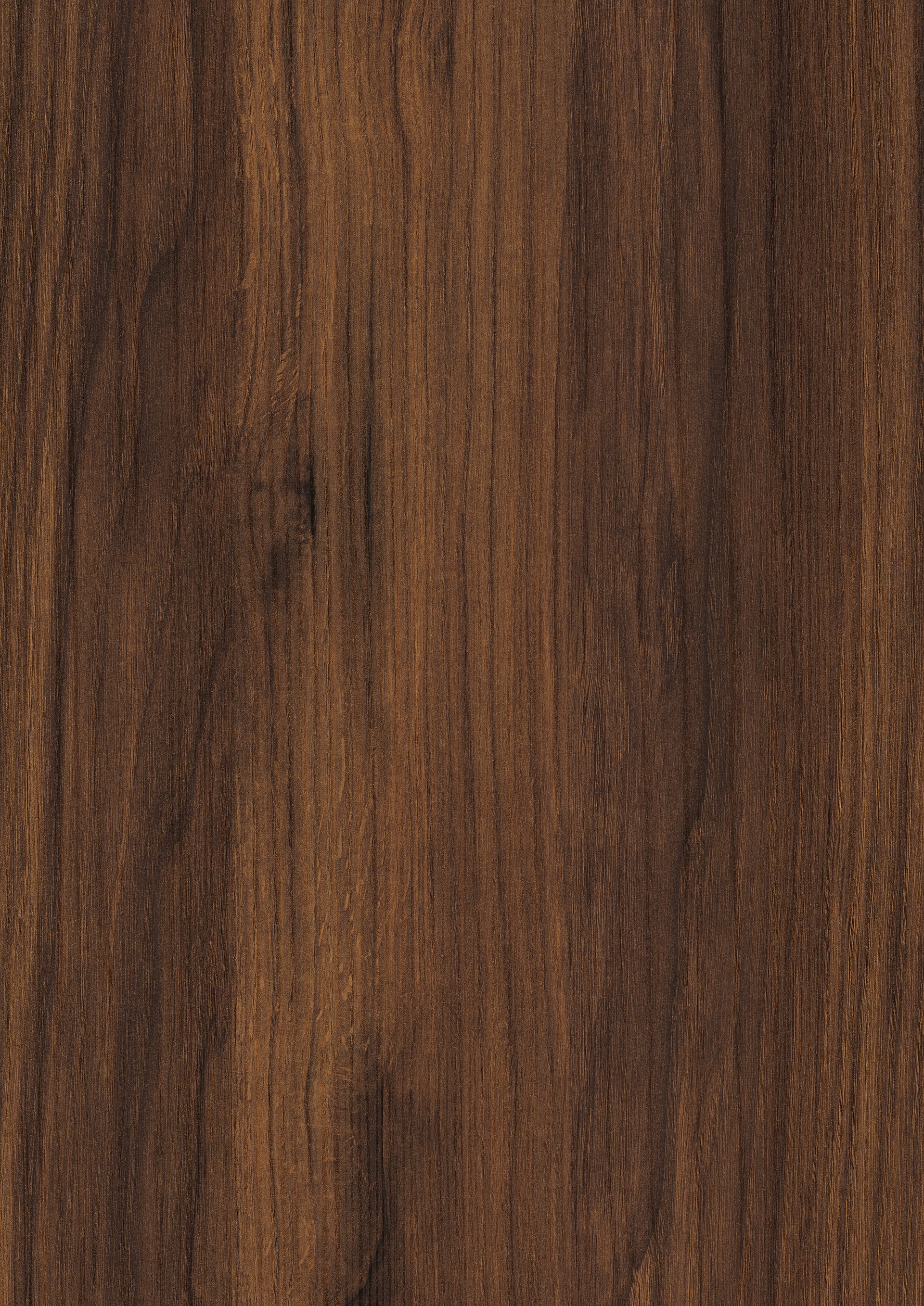 Brown Warmia Walnut
