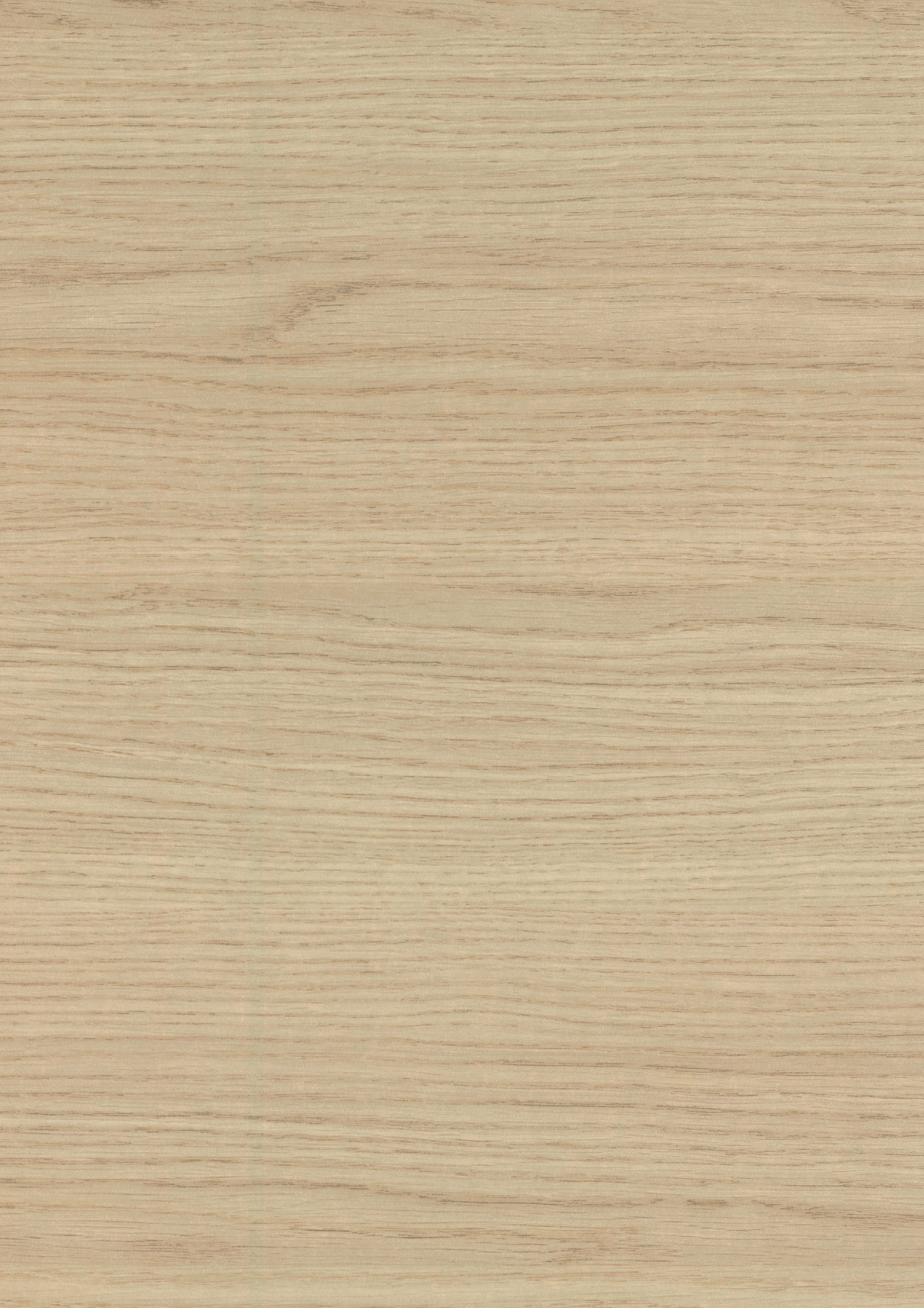 Vicenza Oak Horizontal