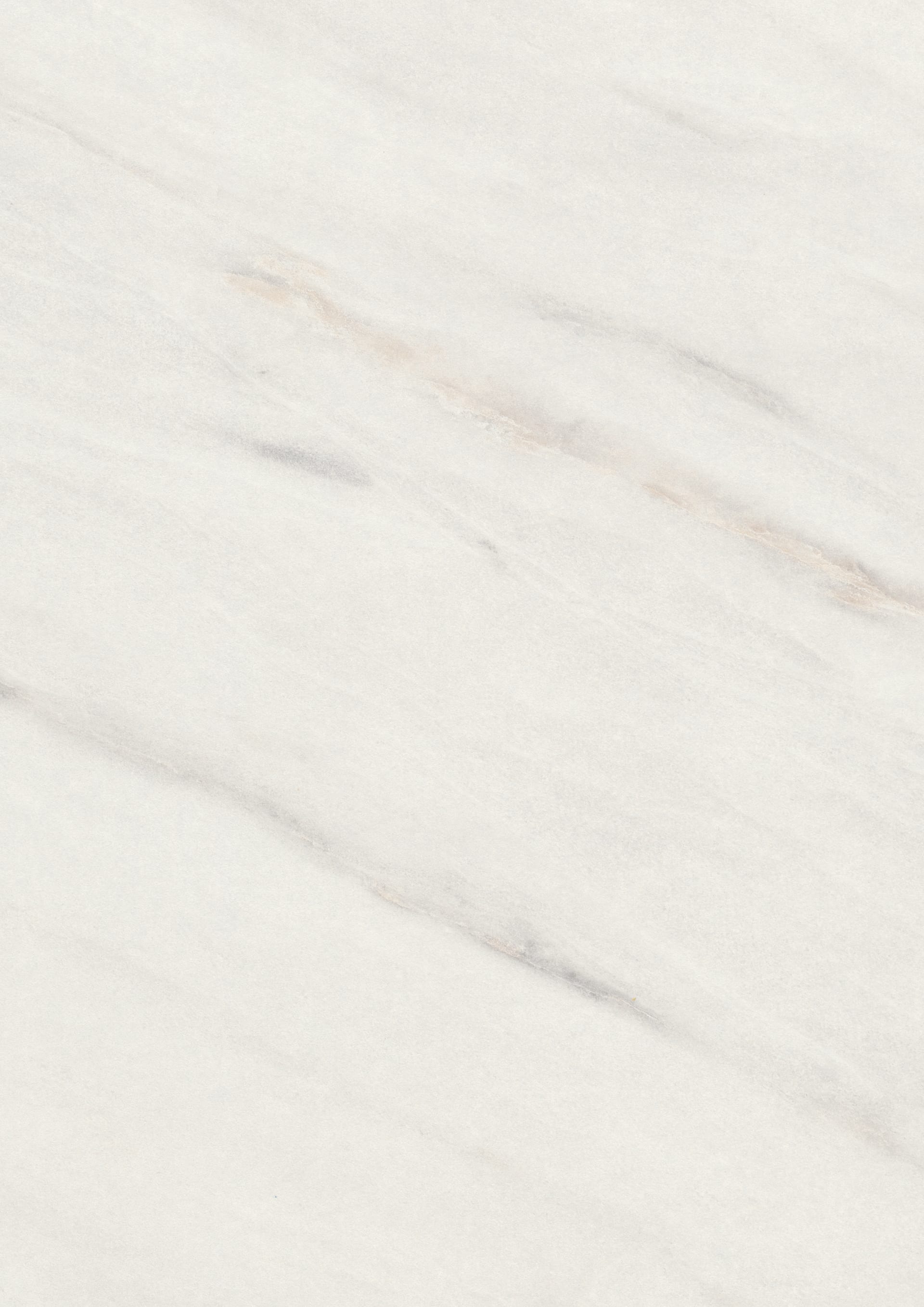White Levanto Marble