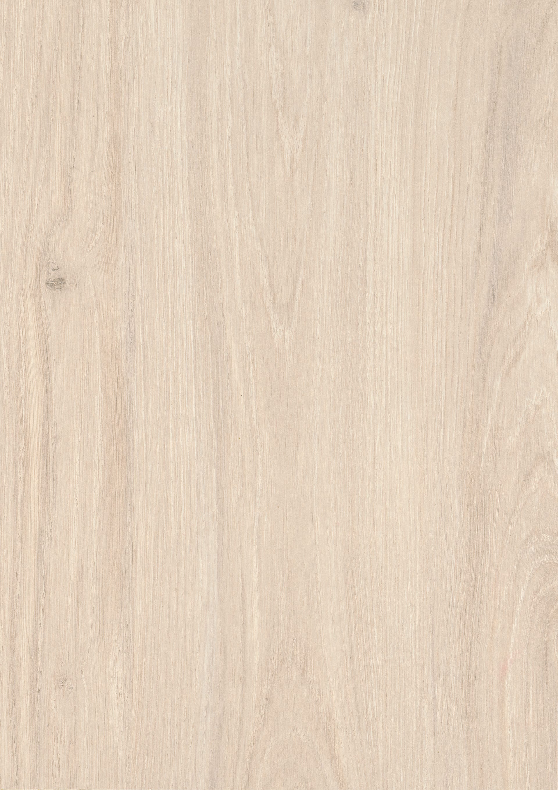 White Casella Oak