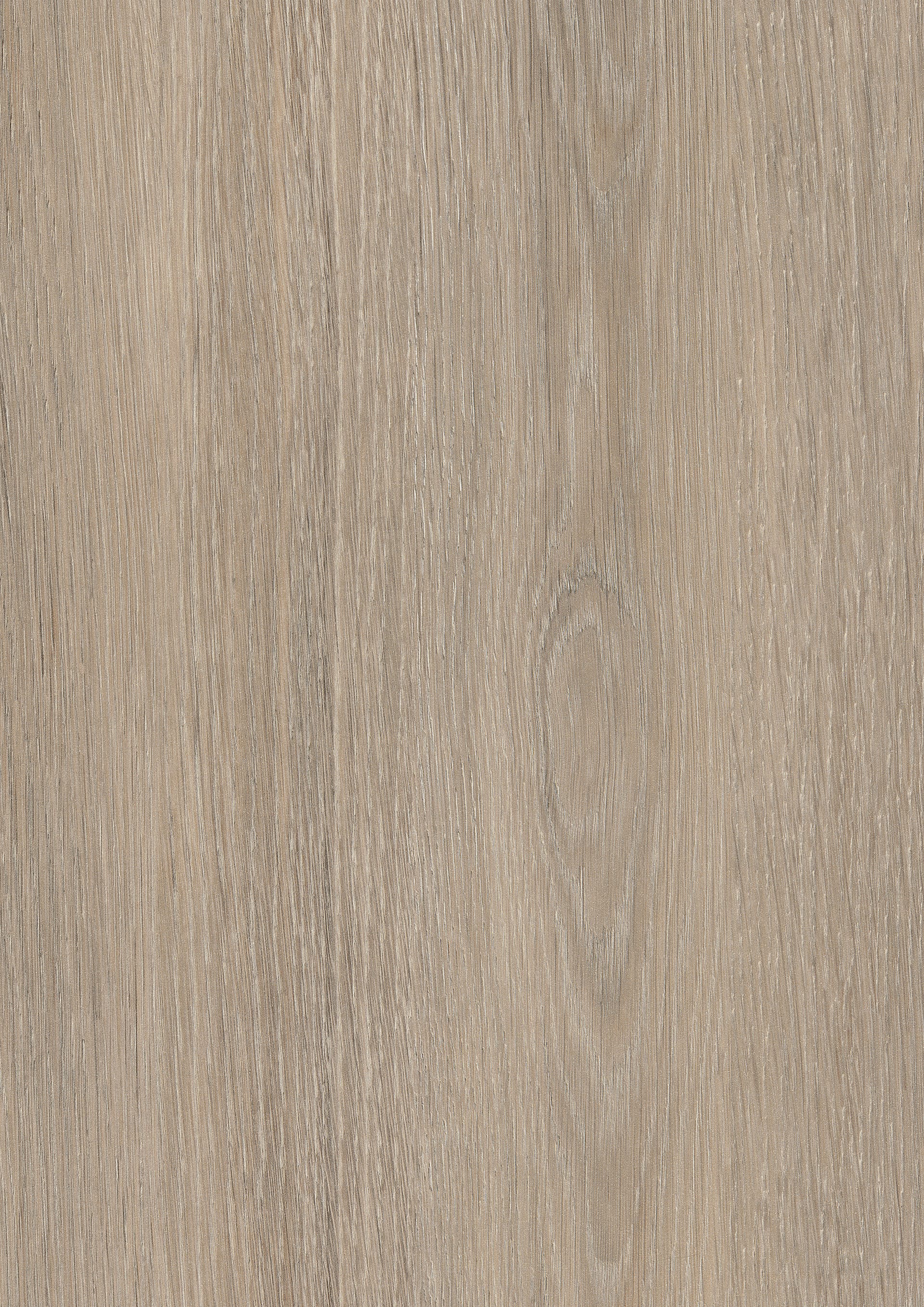 Beige Grey Lorenzo Oak