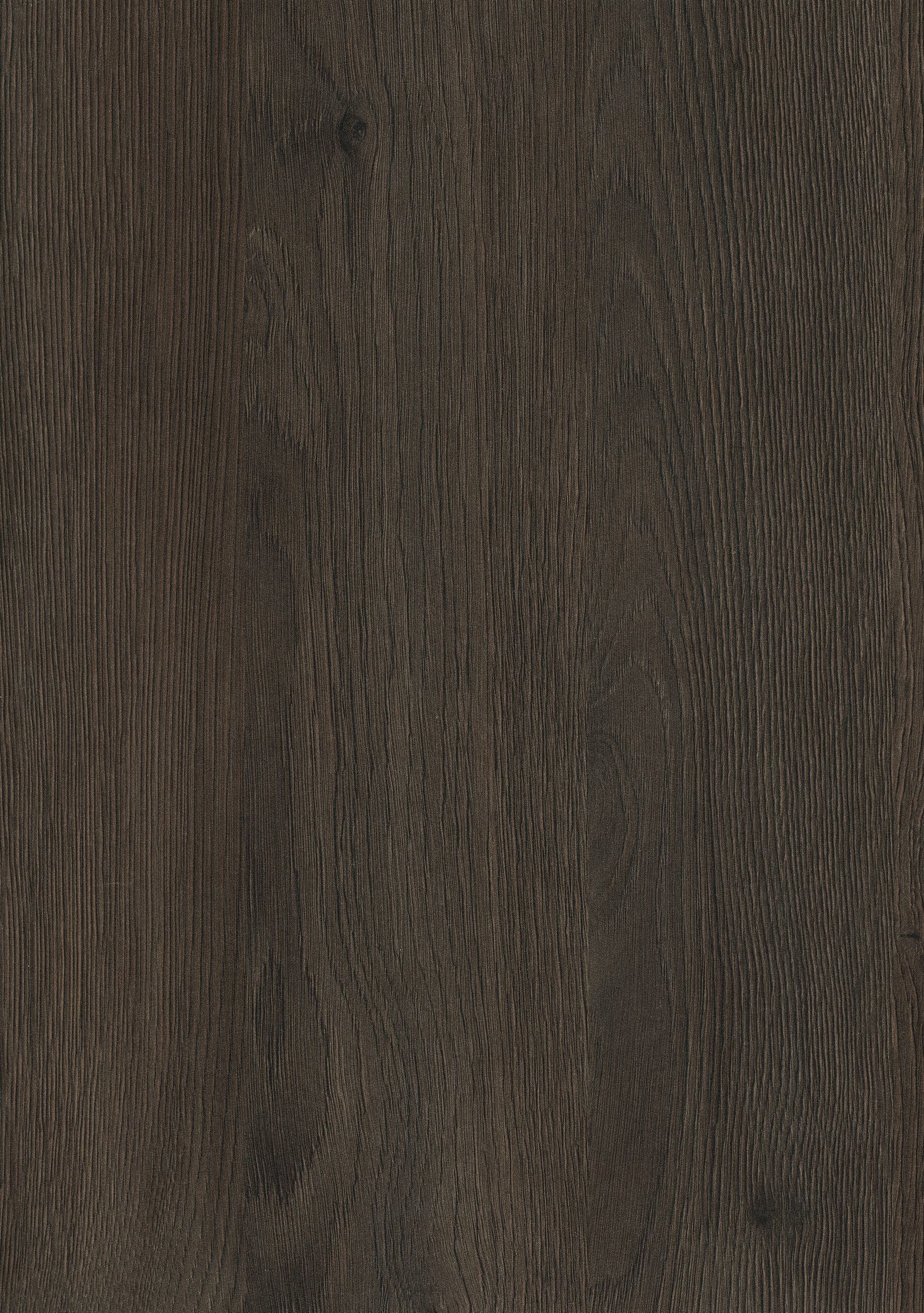 Sepia Gladstone Oak