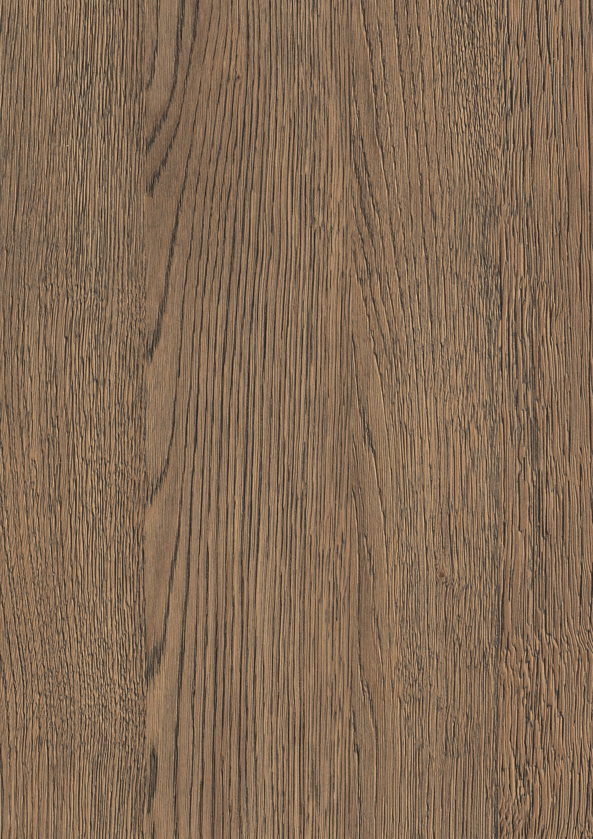 Brown Belmont Oak