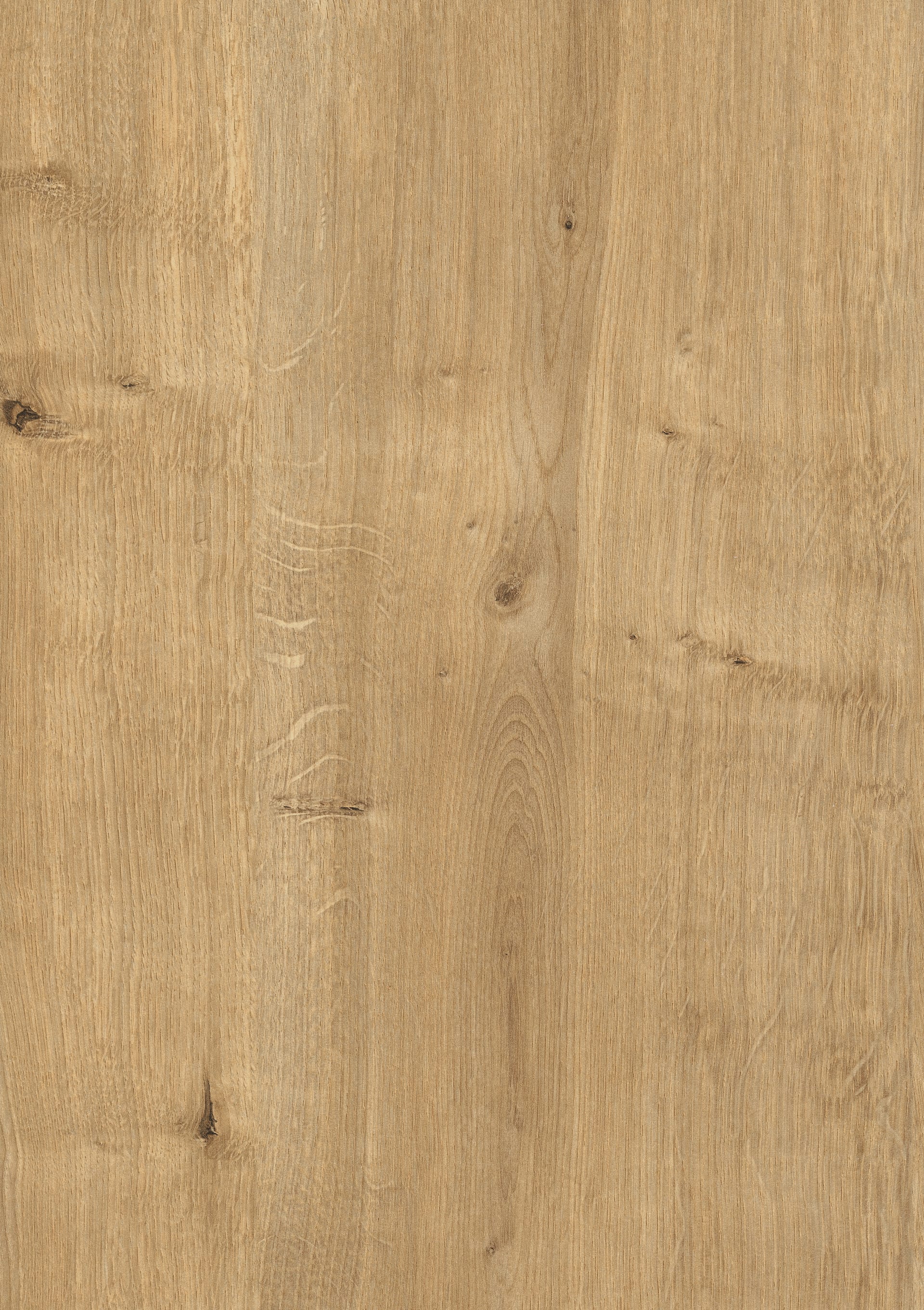 Natural Hamilton Oak
