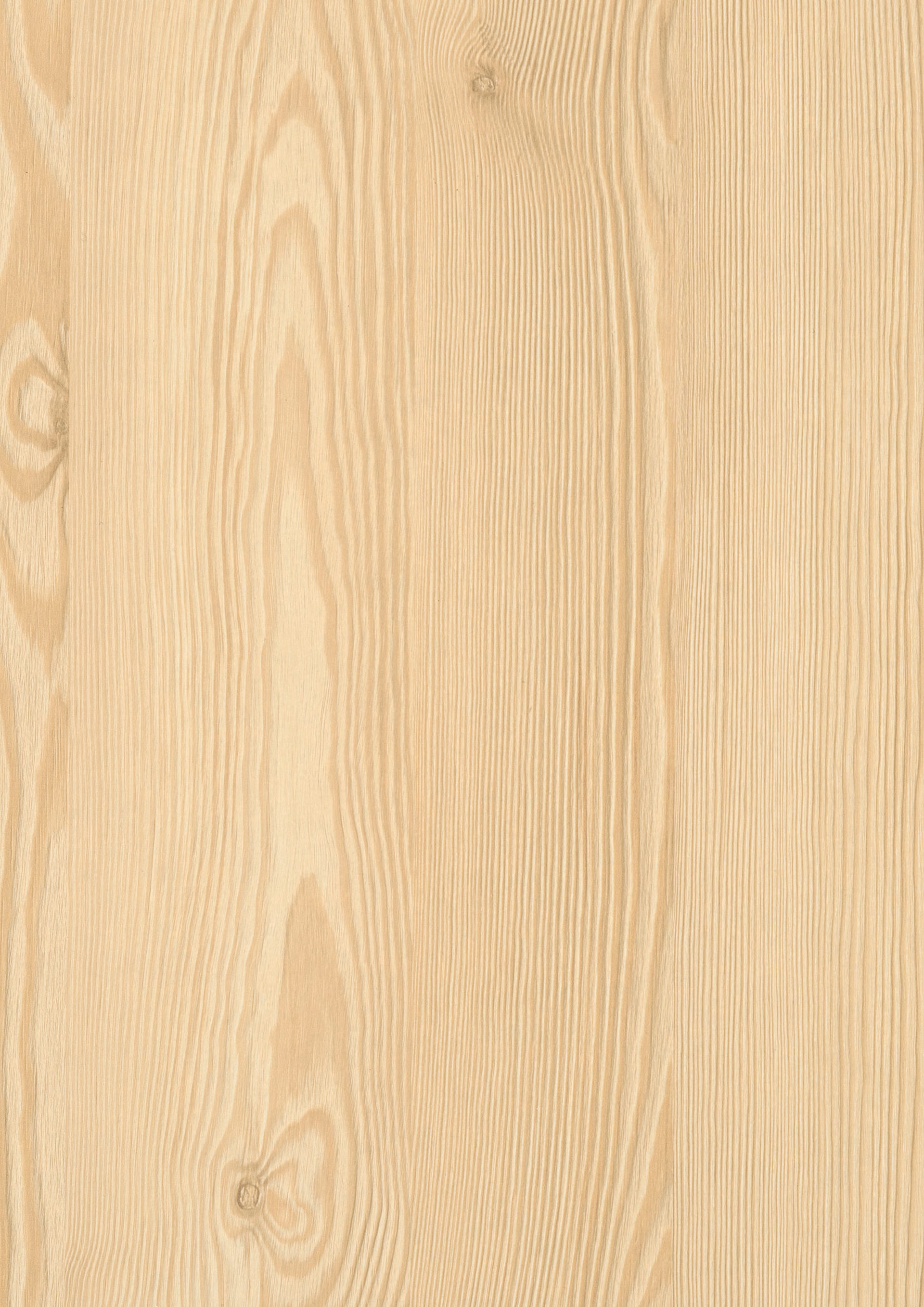 Natural Mountain Larch