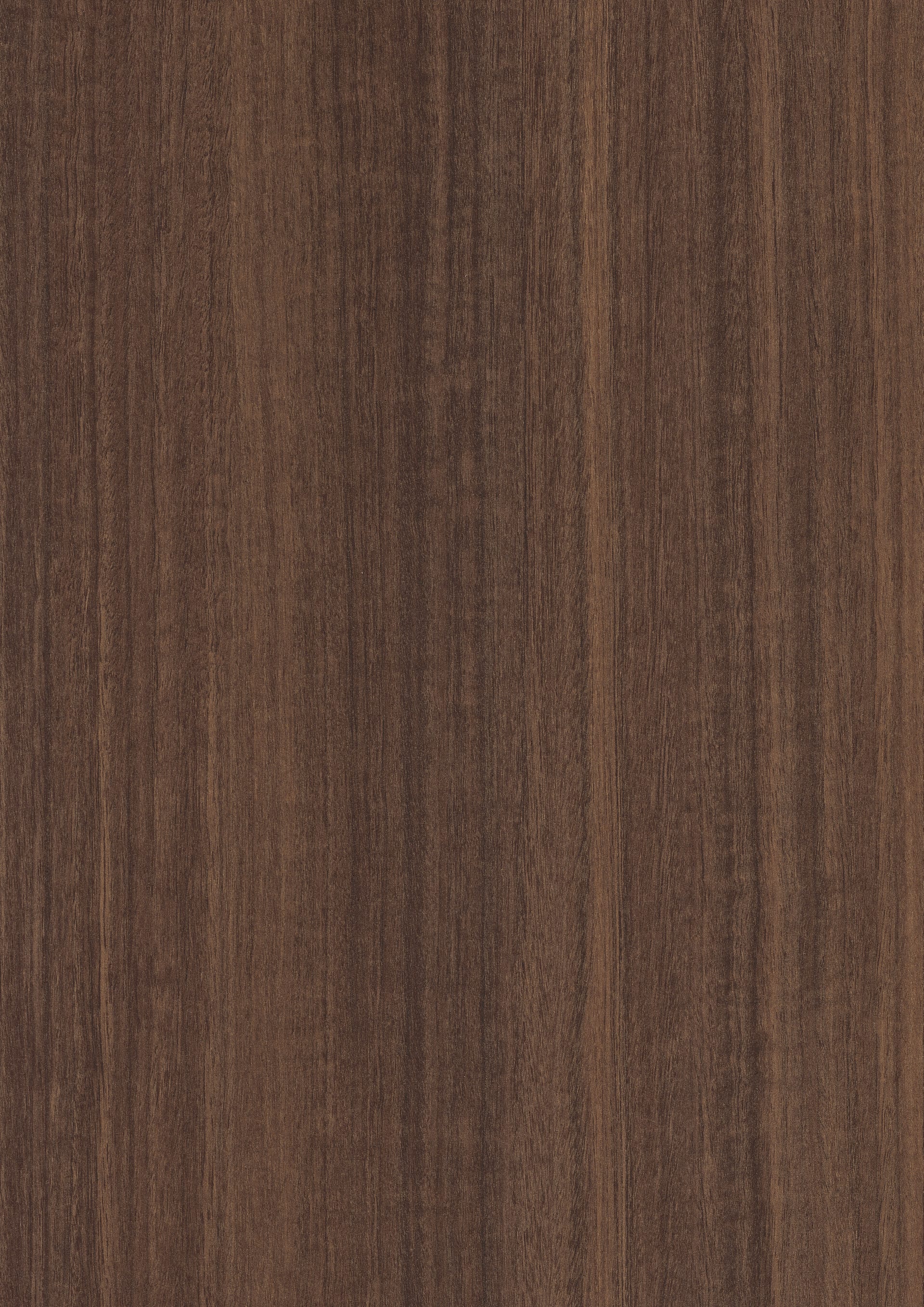 Natural Eucalyptus