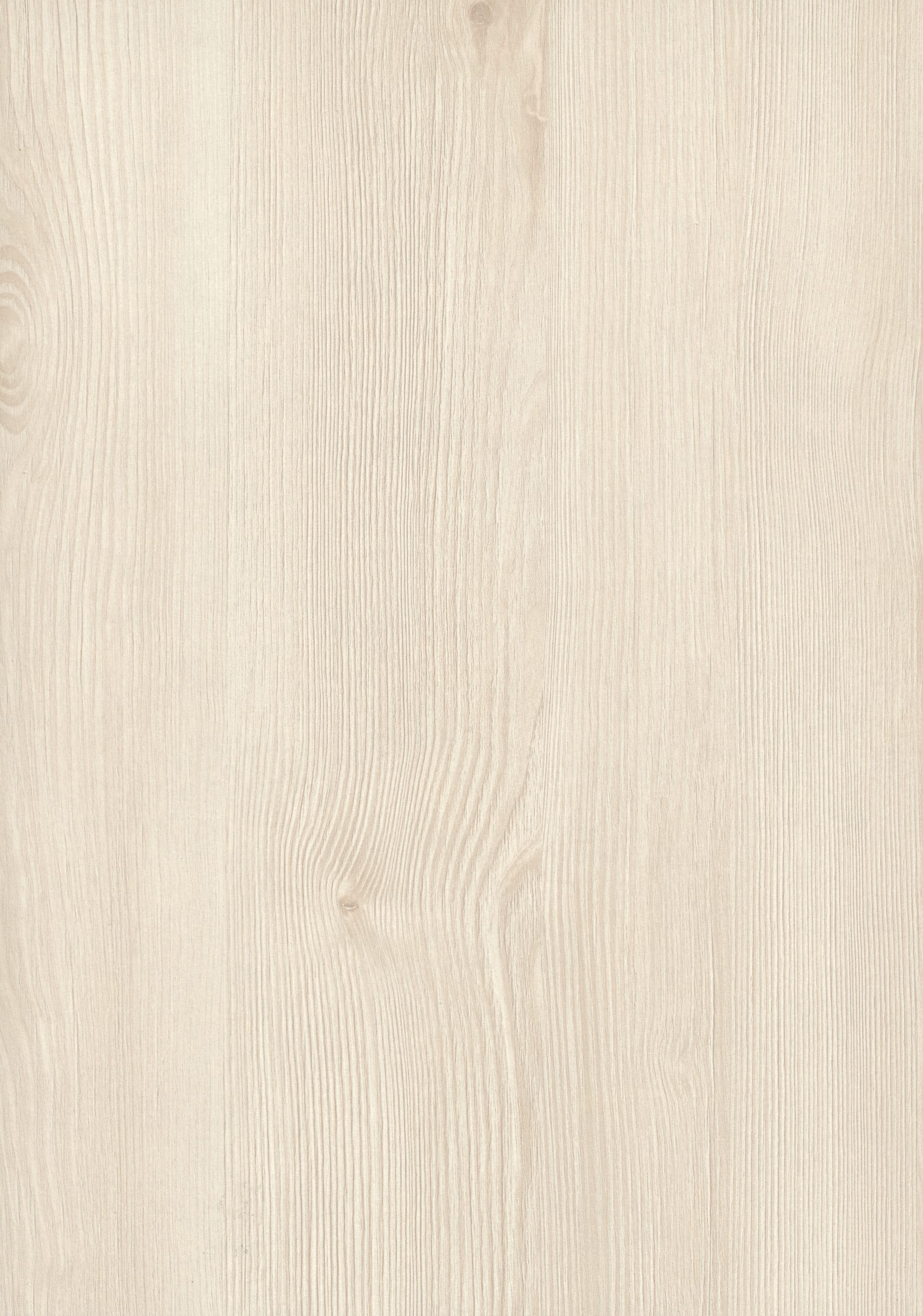 Polar Aland Pine