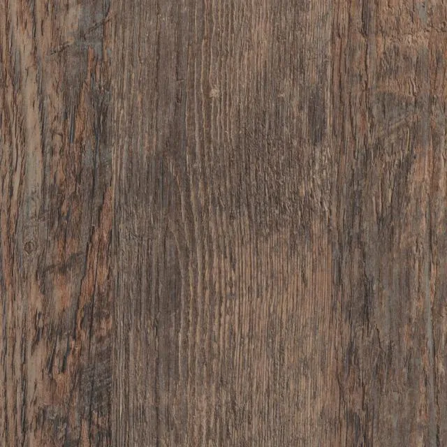 Laramie Pine