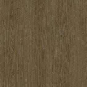 Trend Eucalyptus