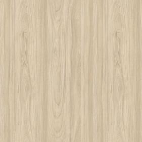 Elm