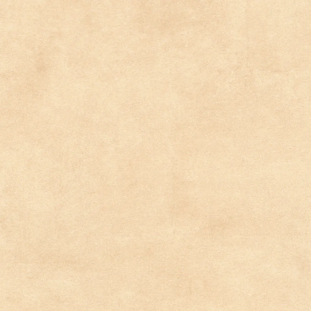 Terra Latte