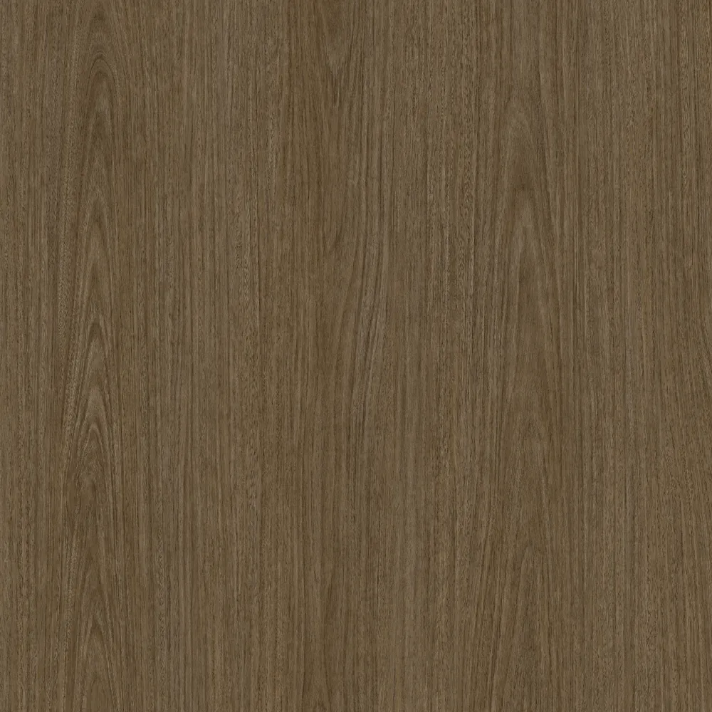 Trend Eucalyptus