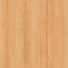 Samerberg Beech