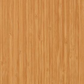 Bamboo